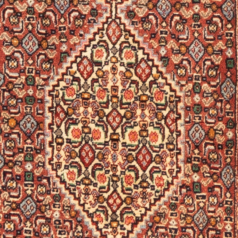 Alfombra de pasillo Alfombra persa - Clásica - 252 x 52 cm - rojo