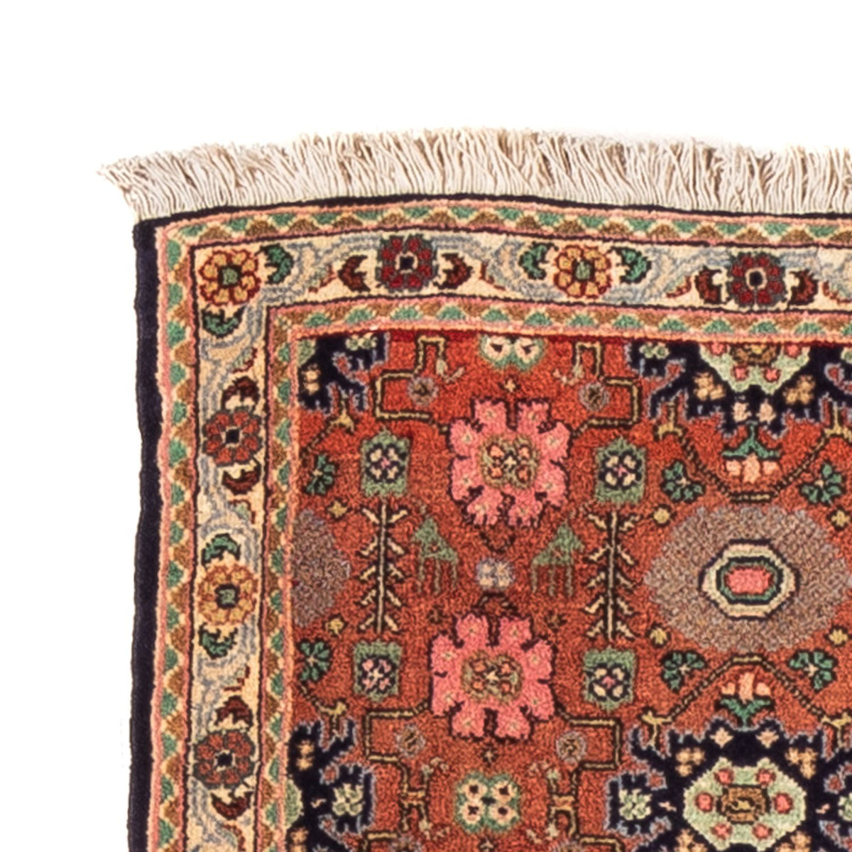 Senneh Alfombra 50x254cm - Alfombra persa