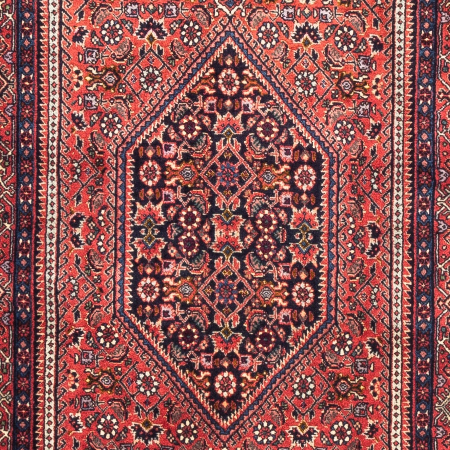 Alfombra de pasillo Alfombra persa - Bidjar - 226 x 77 cm - rojo
