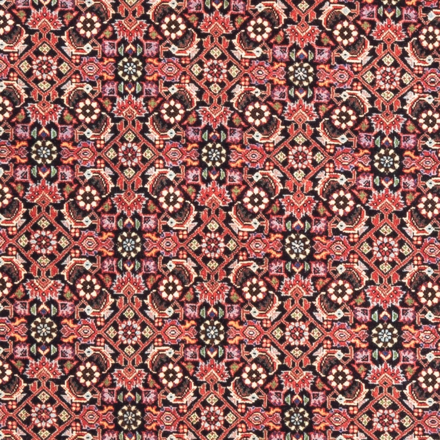 Alfombra de pasillo Alfombra persa - Bidjar - 189 x 82 cm - rojo claro