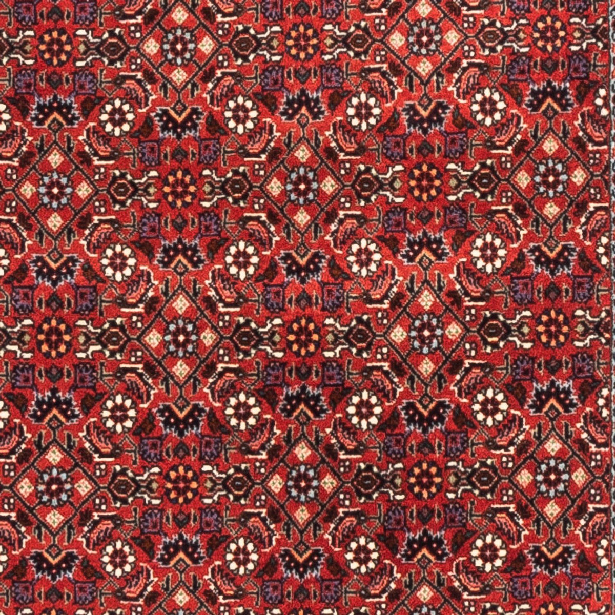 Alfombra de pasillo Alfombra persa - Bidjar - 192 x 75 cm - rojo