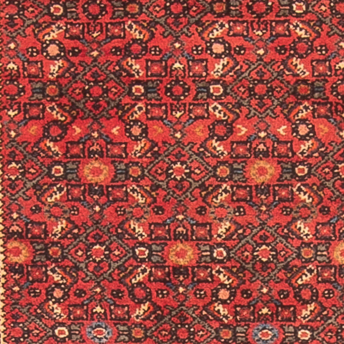 Alfombra de pasillo Alfombra persa - Nómada - 995 x 83 cm - rojo