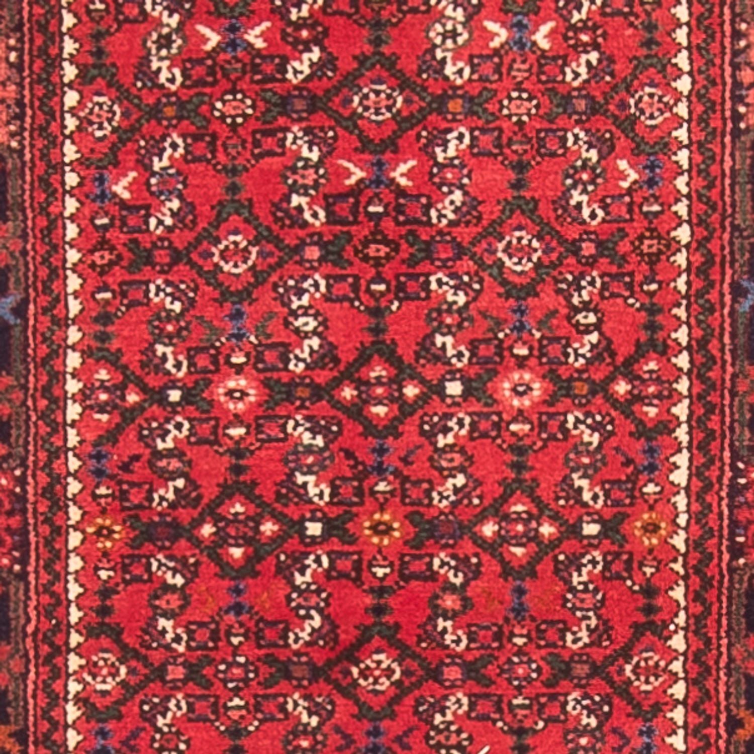 Alfombra de pasillo Alfombra persa - Nómada - 600 x 80 cm - rojo