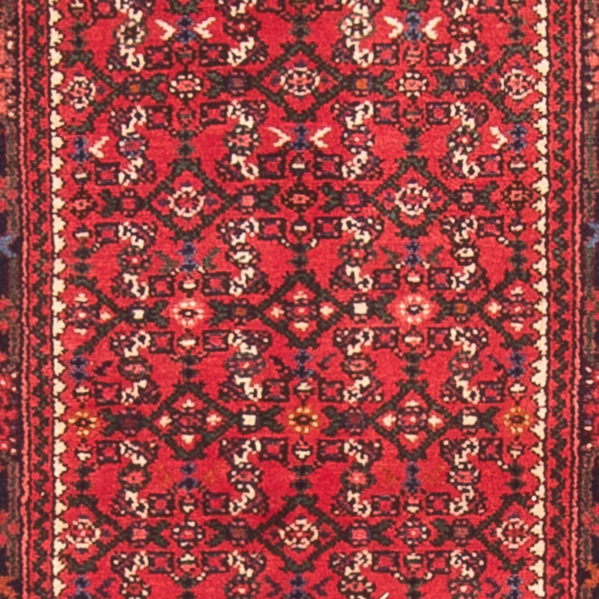 Alfombra de pasillo Alfombra persa - Nómada - 600 x 80 cm - rojo