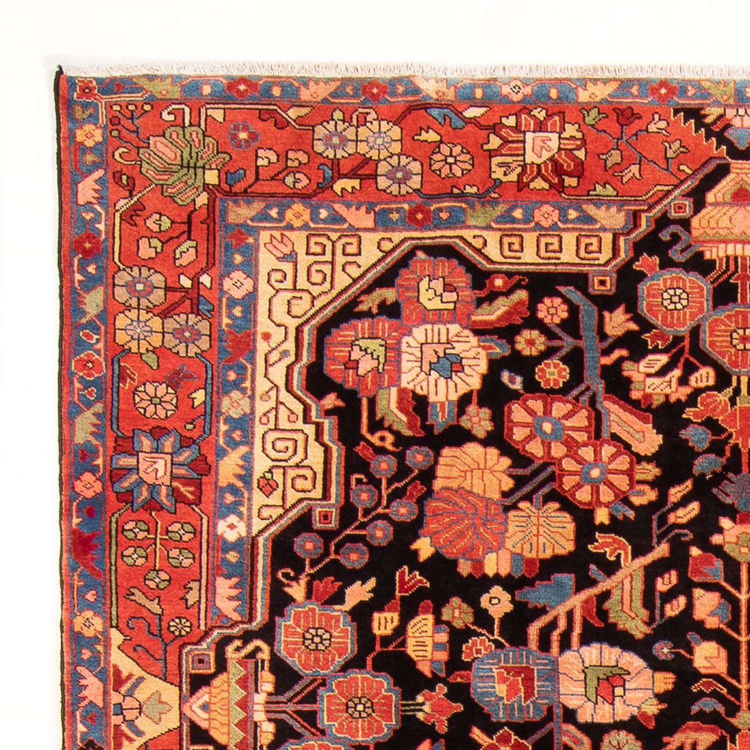 Alfombra persa - Nómada - 278 x 195 cm - azul oscuro