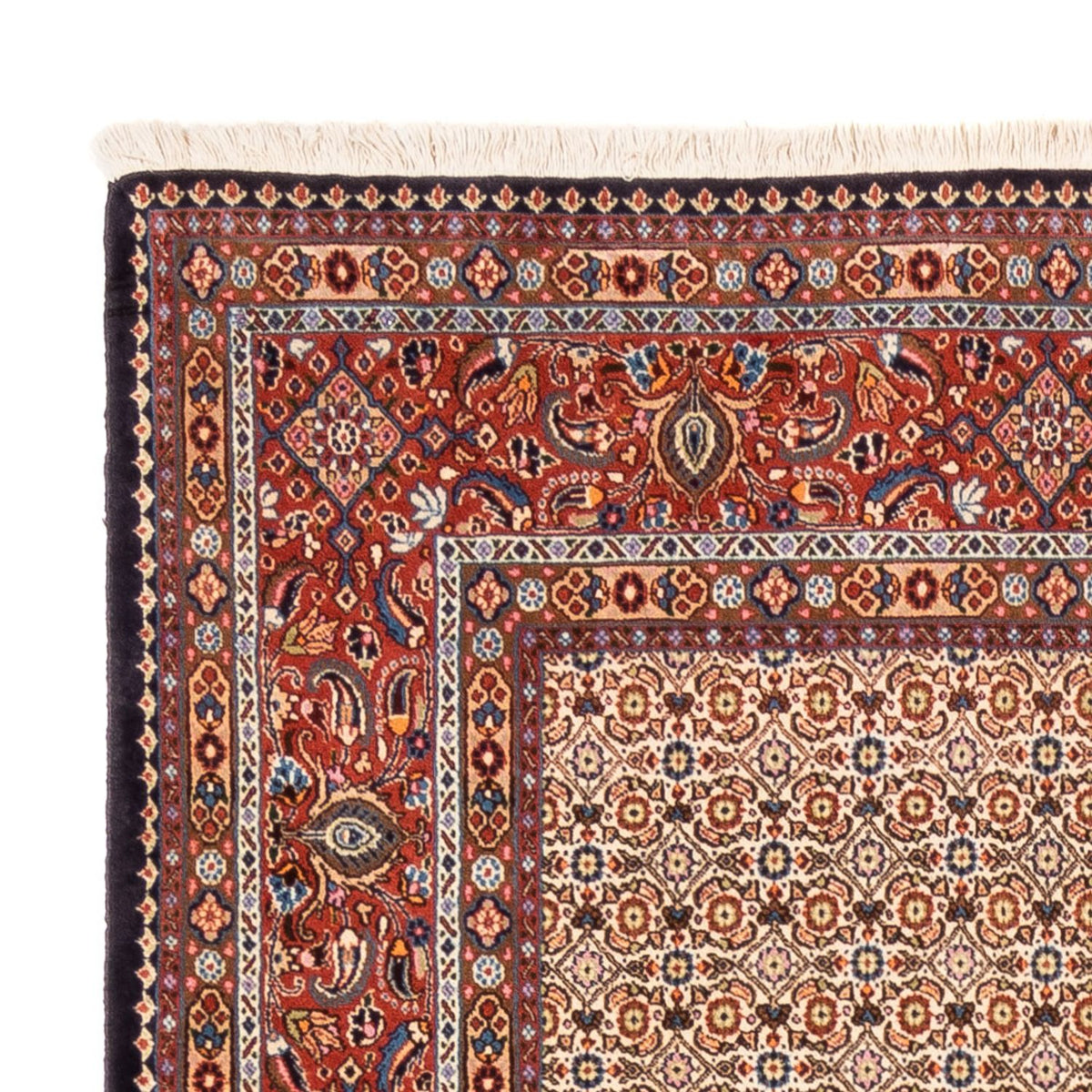 Alfombra persa - Clásica - 250 x 195 cm - beige oscuro