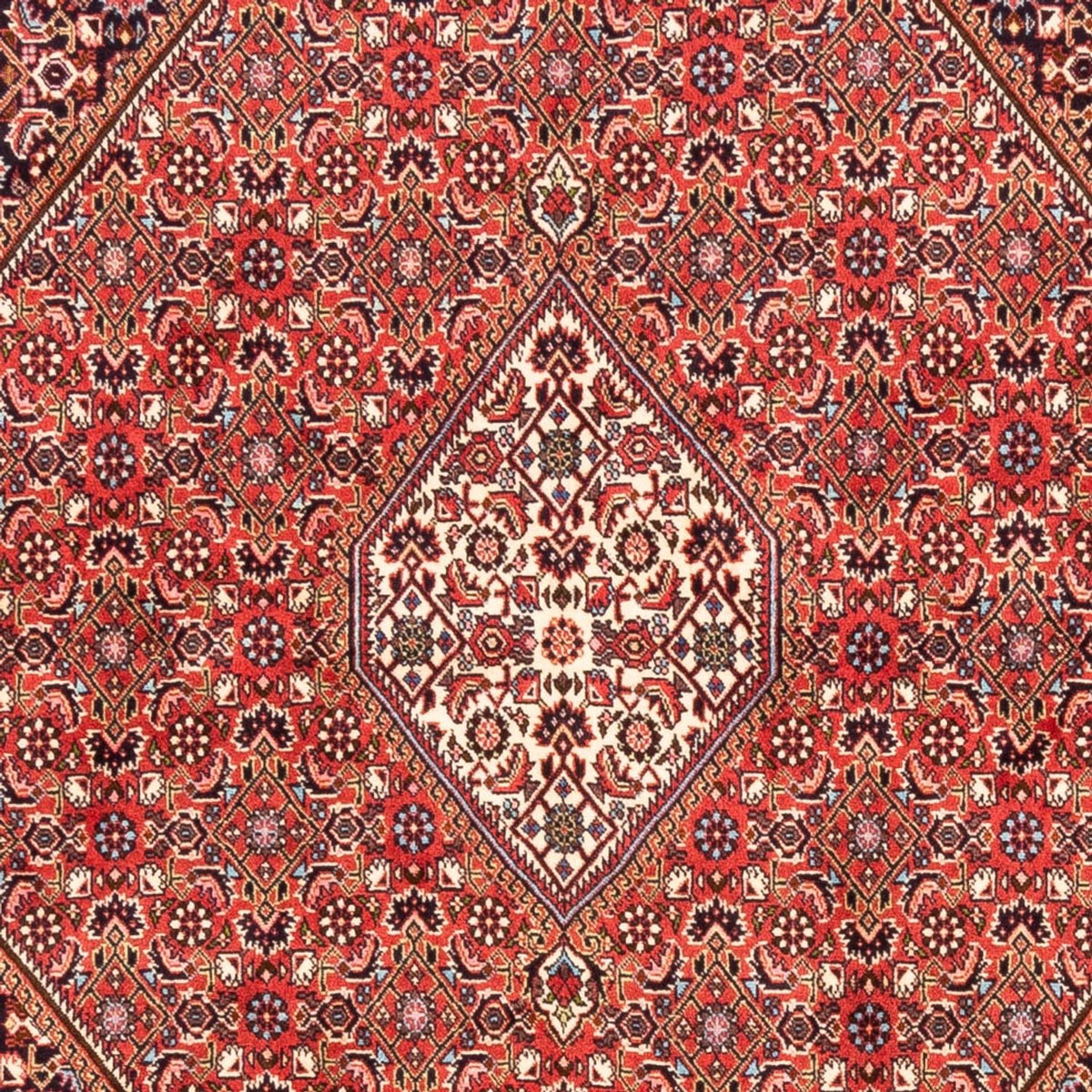 Alfombra persa - Bidjar - 232 x 171 cm - rojo