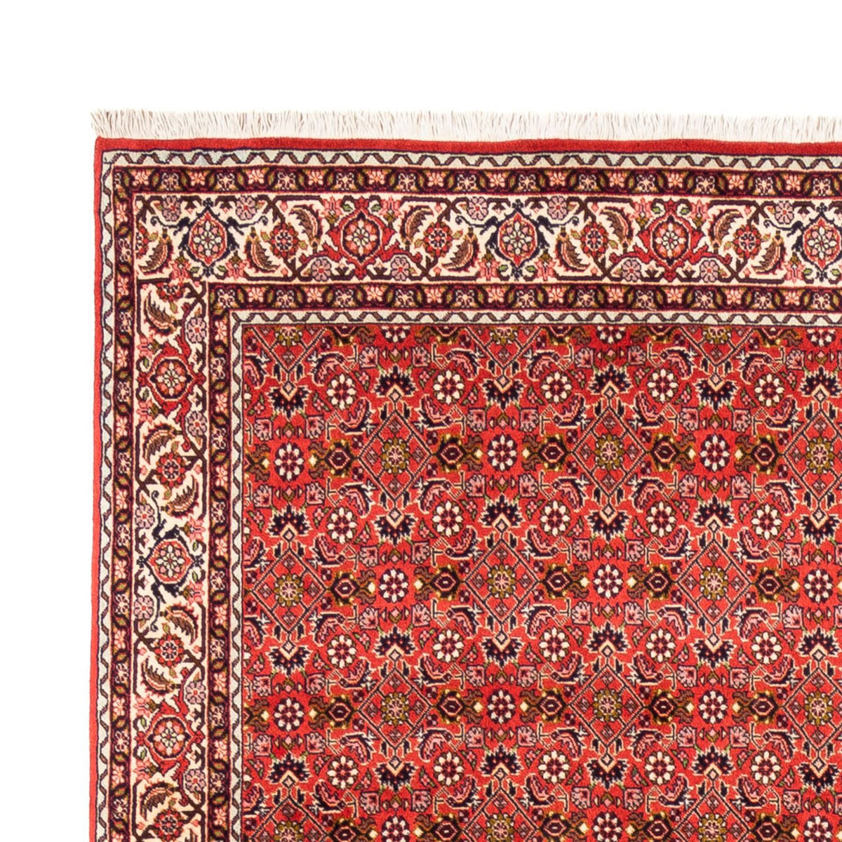 Alfombra persa - Bidjar - 242 x 168 cm - rojo