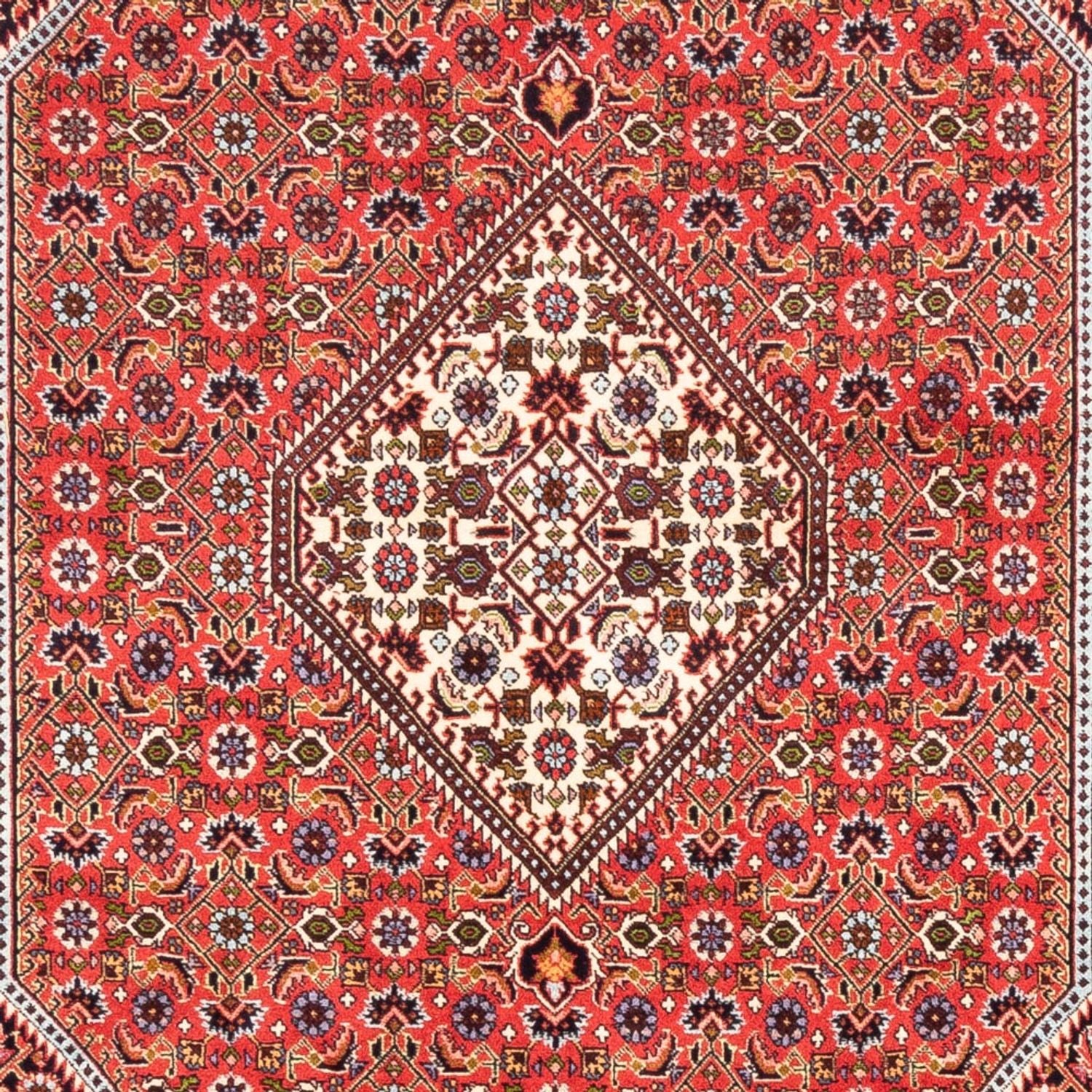 Alfombra persa - Bidjar - 247 x 168 cm - rojo