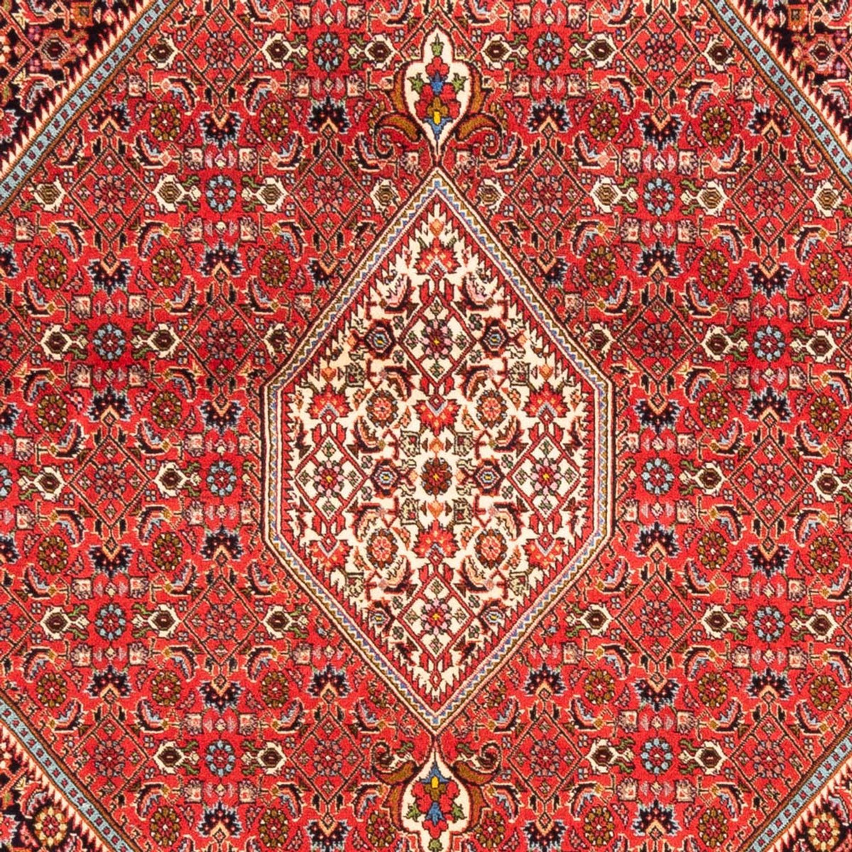 Alfombra persa - Bidjar - 234 x 176 cm - rojo