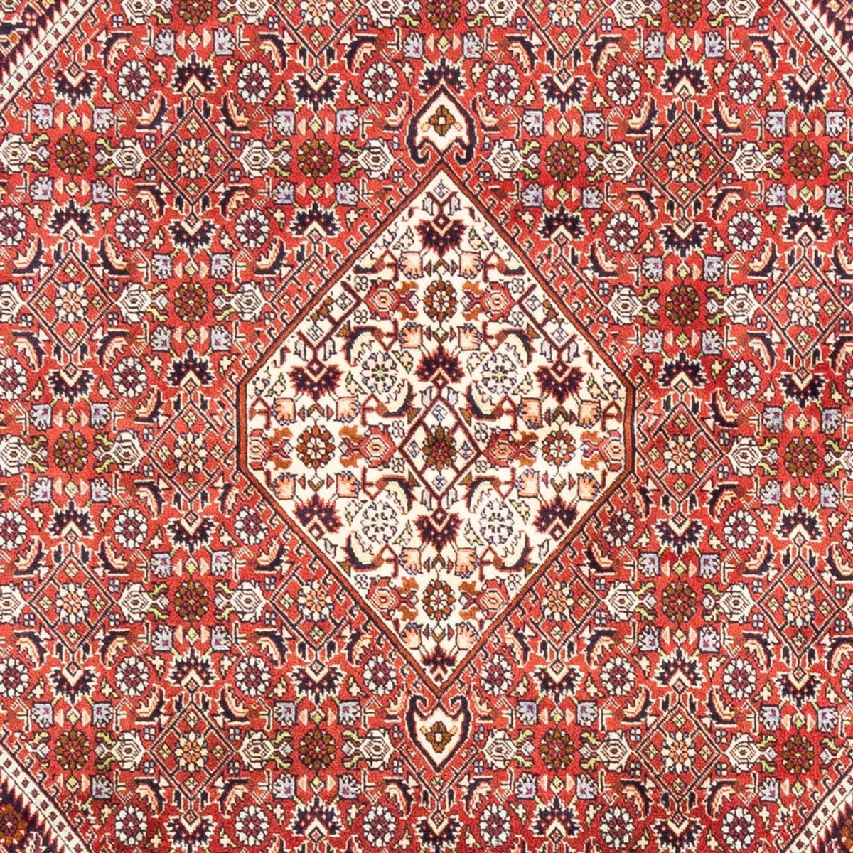 Alfombra persa - Bidjar - 240 x 168 cm - rojo