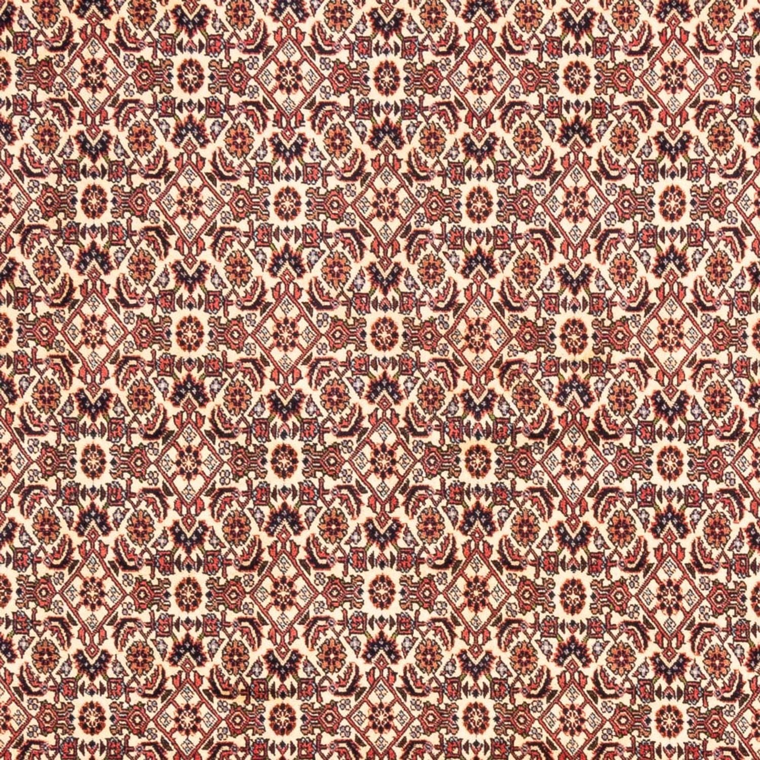 Alfombra persa - Bidjar - 244 x 166 cm - beige