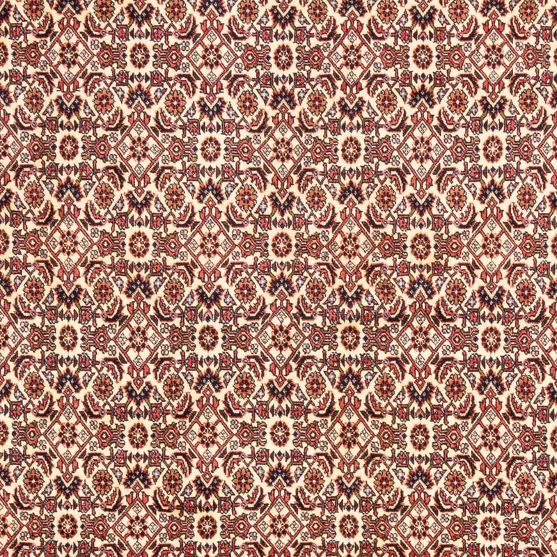 Alfombra persa - Bidjar - 244 x 166 cm - beige