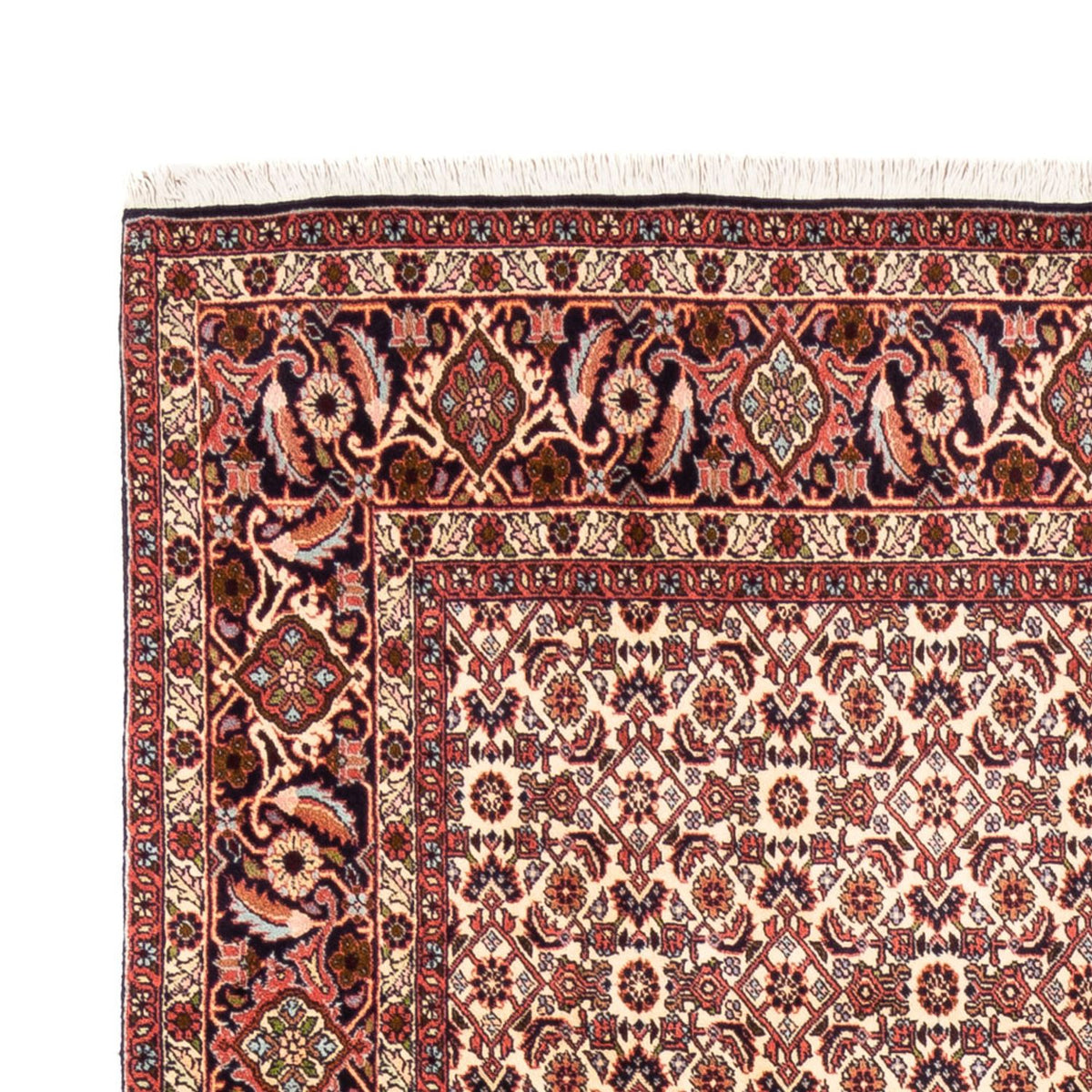 Alfombra persa - Bidjar - 244 x 166 cm - beige