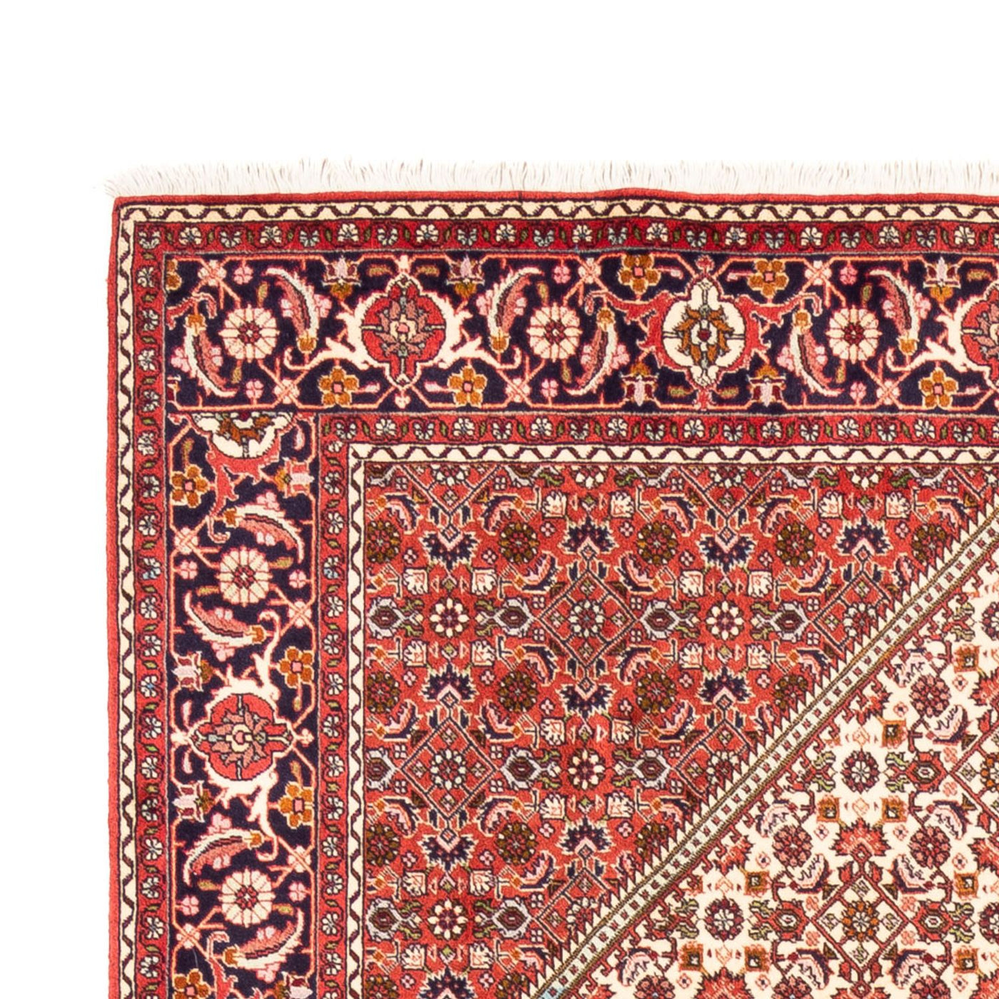Alfombra persa - Bidjar - 249 x 170 cm - beige