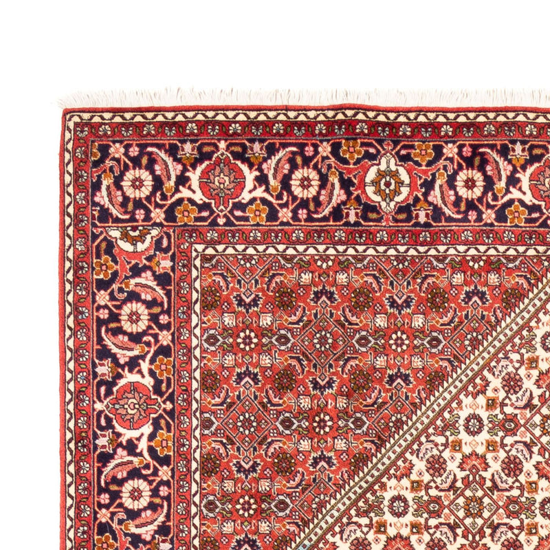 Alfombra persa - Bidjar - 249 x 170 cm - beige