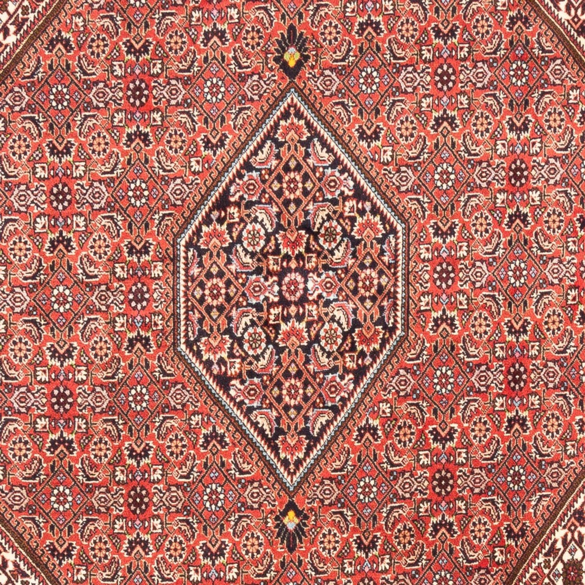 Alfombra persa - Bidjar - 247 x 173 cm - rojo