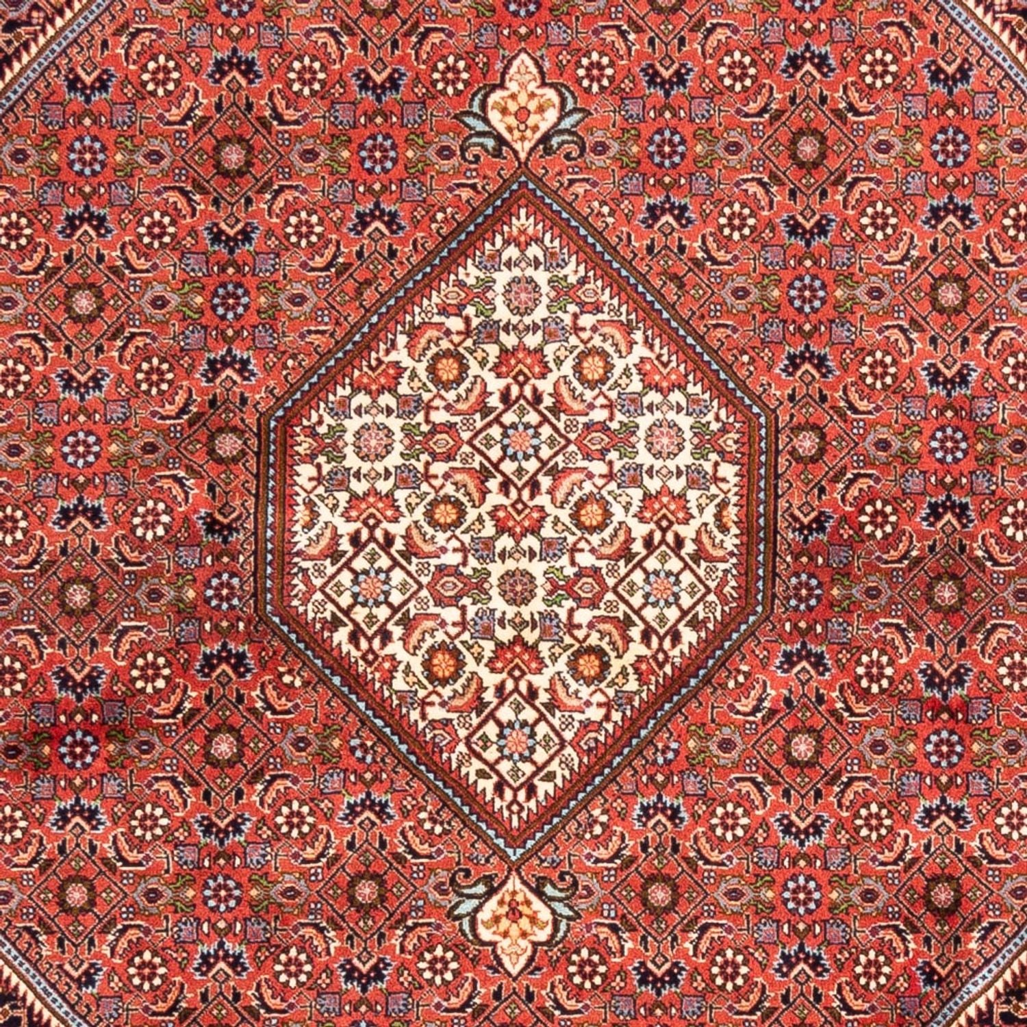 Alfombra persa - Bidjar - 240 x 173 cm - rojo