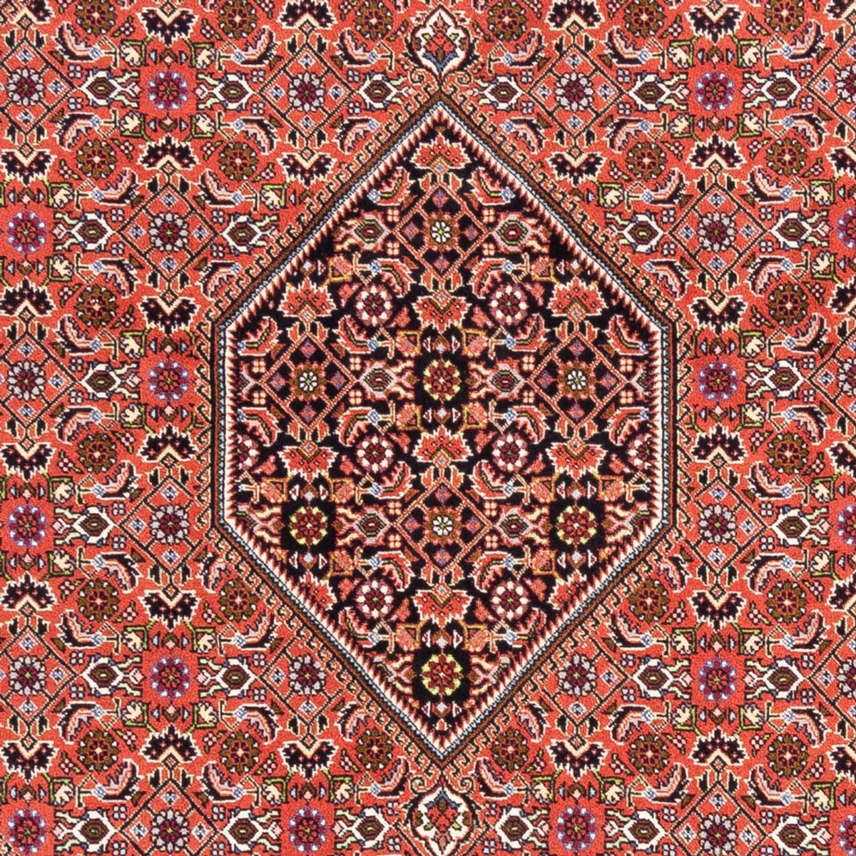 Alfombra persa - Bidjar - 250 x 170 cm - rojo