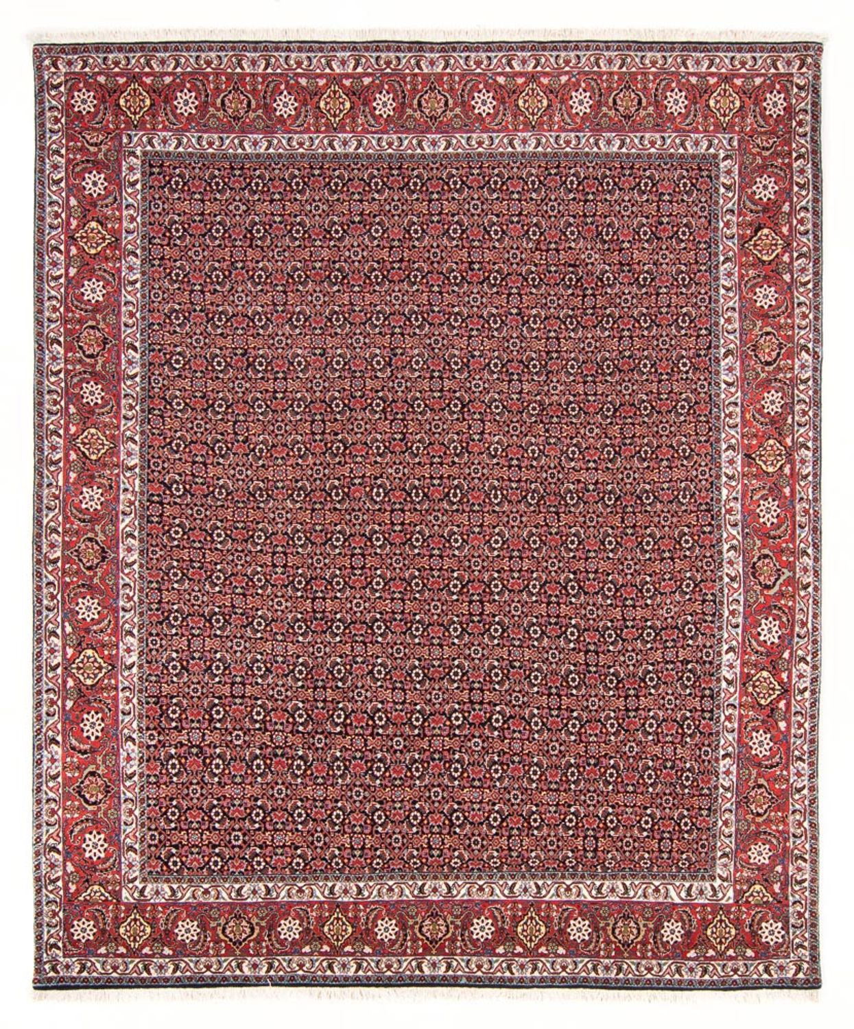 Alfombra persa - Bidjar - 247 x 196 cm - azul oscuro