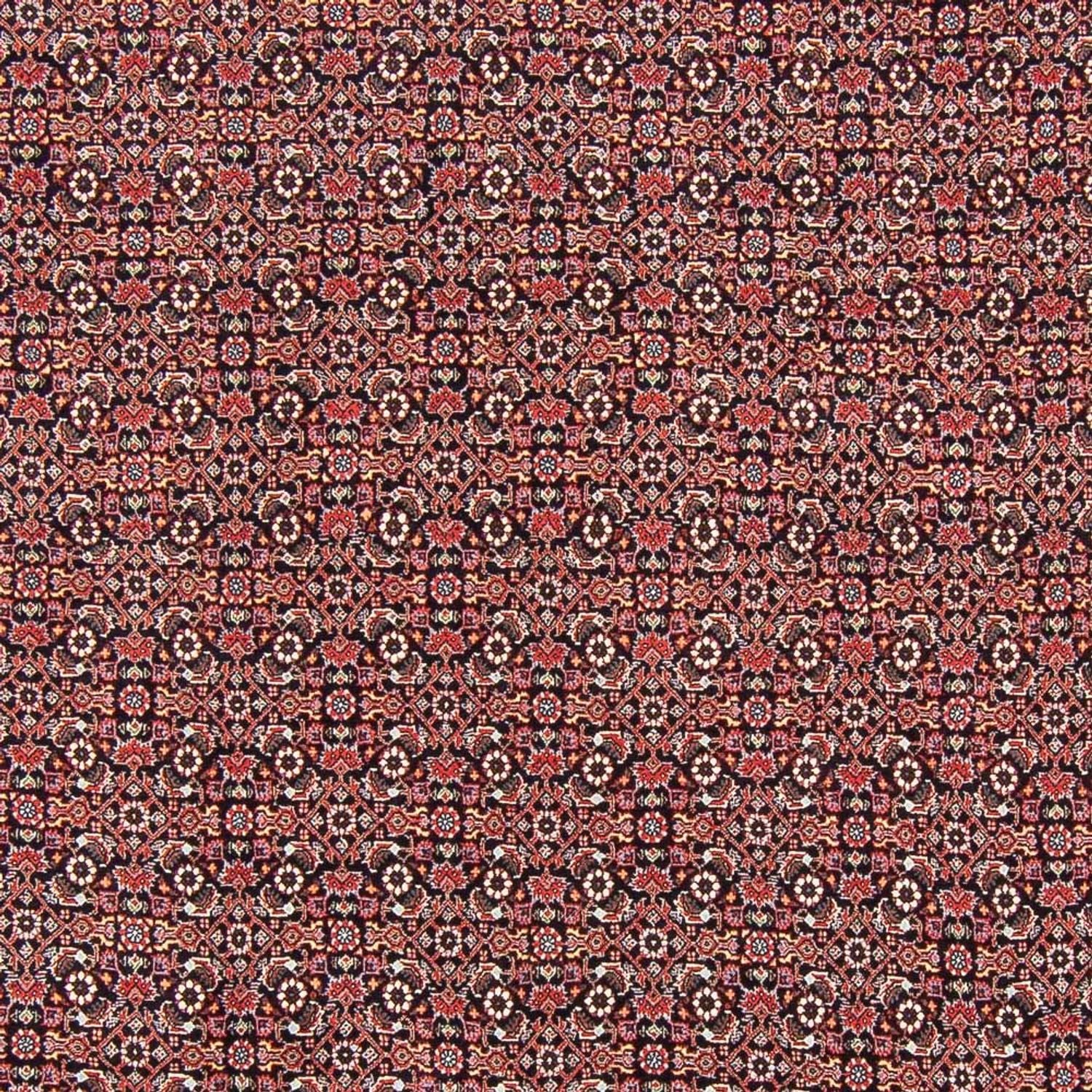 Alfombra persa - Bidjar - 247 x 196 cm - azul oscuro