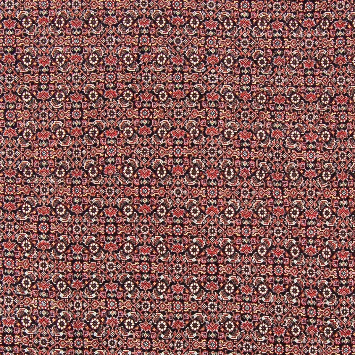Alfombra persa - Bidjar - 247 x 196 cm - azul oscuro
