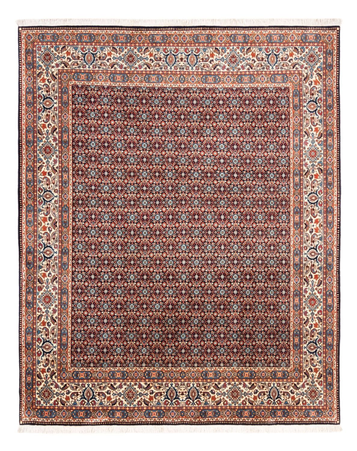 Alfombra persa - Clásica - 244 x 197 cm - beige oscuro
