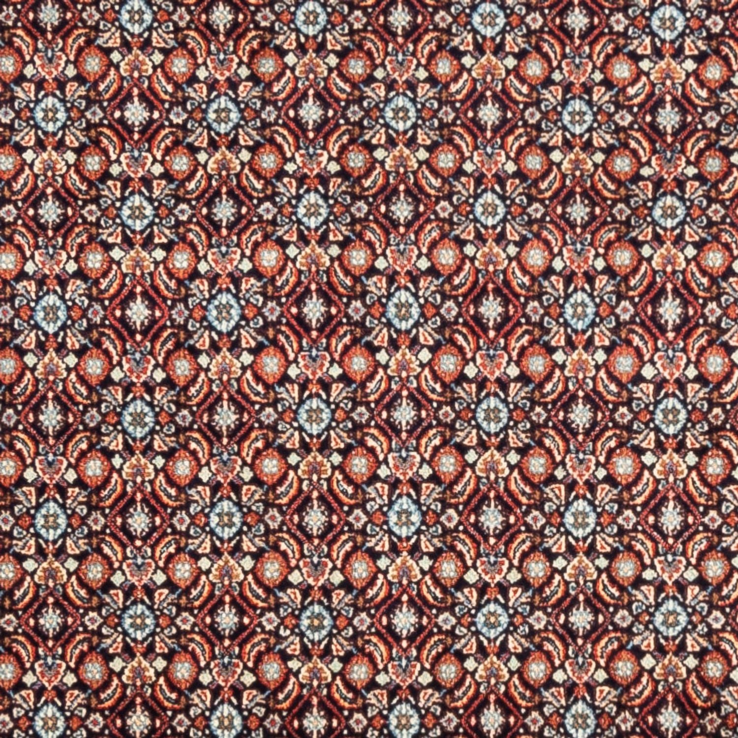 Alfombra persa - Clásica - 244 x 197 cm - beige oscuro