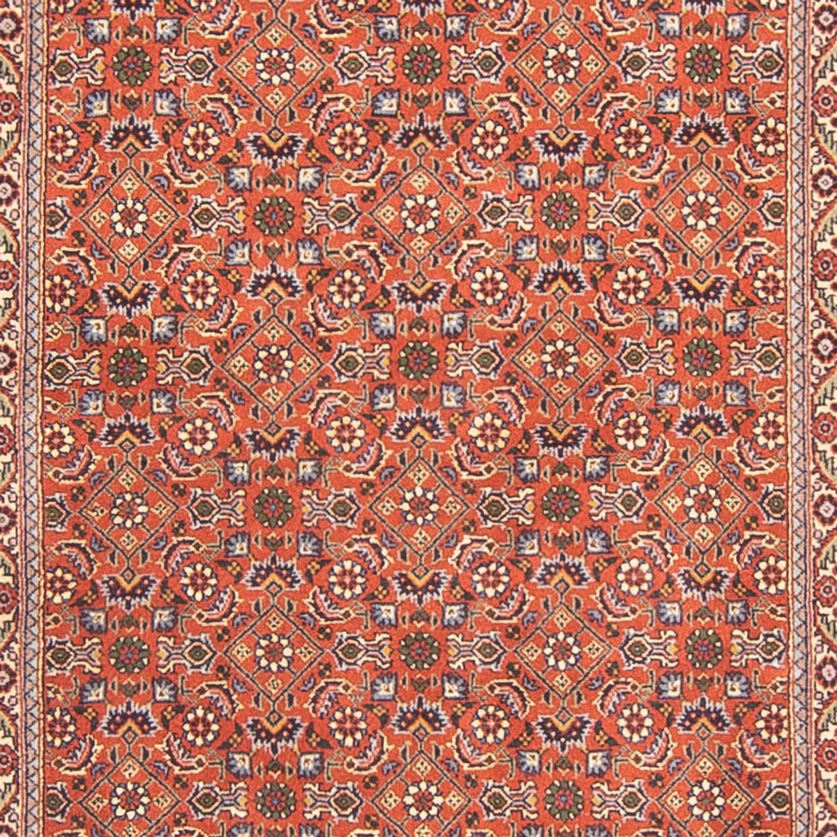 Alfombra de pasillo Alfombra persa - Bidjar - 300 x 100 cm - rojo