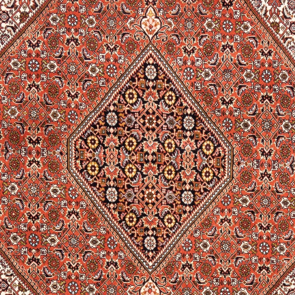 Alfombra persa - Bidjar - 250 x 172 cm - rojo