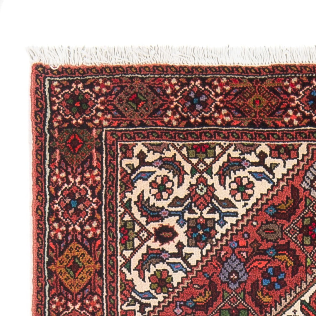 Gholtogh Alfombra 74x121cm - Alfombra persa