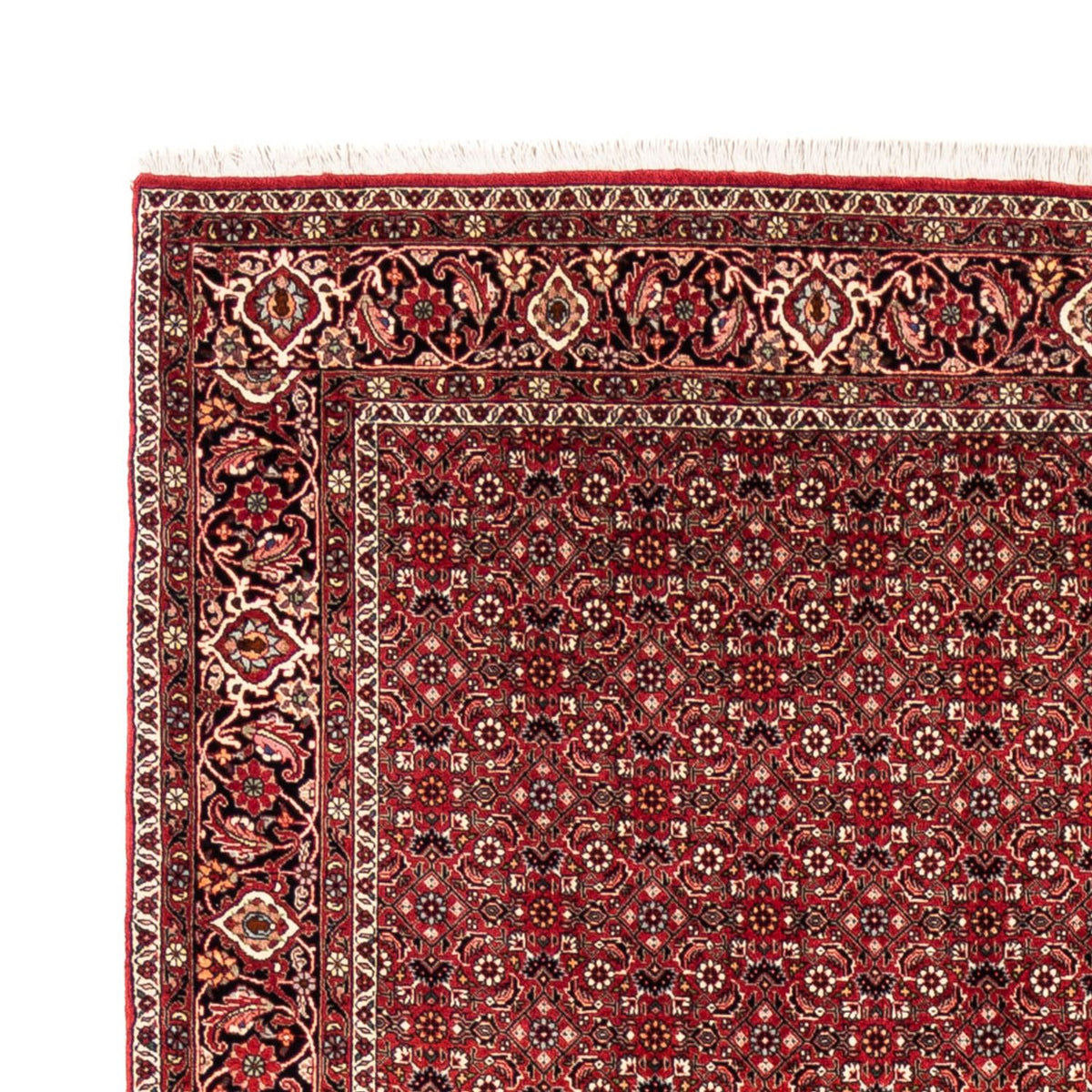 Alfombra persa - Bidjar - 238 x 178 cm - rojo