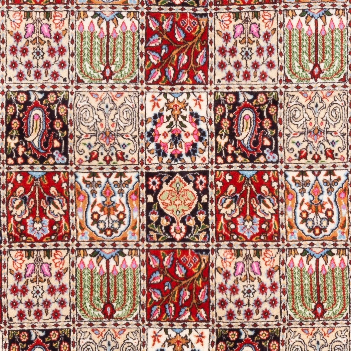 Alfombra persa - Clásica - 244 x 165 cm - multicolor