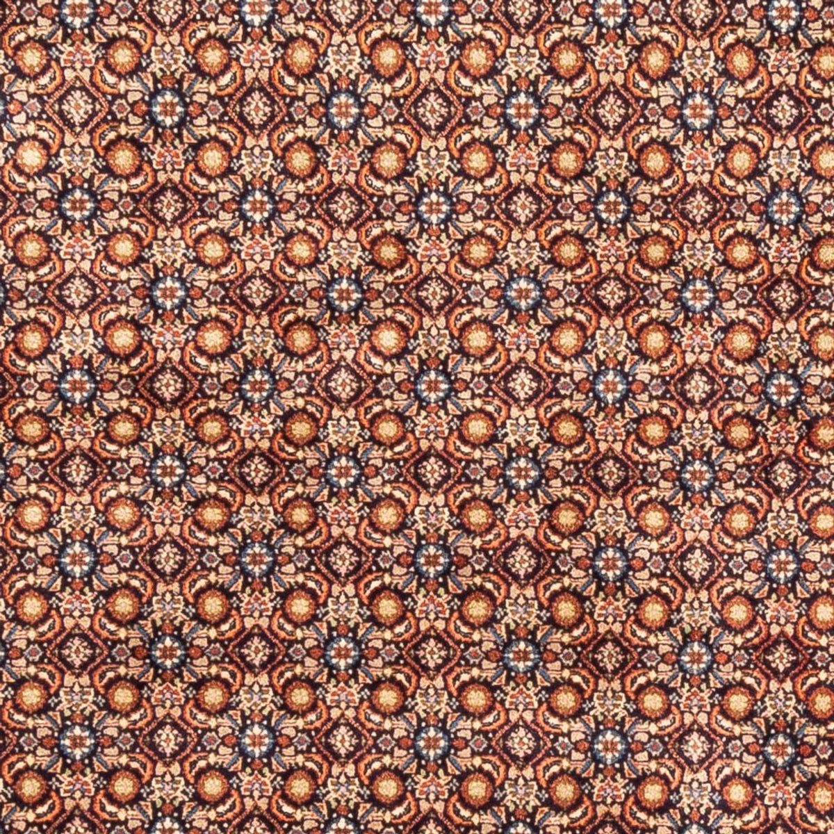 Alfombra persa - Clásica - 246 x 193 cm - beige oscuro