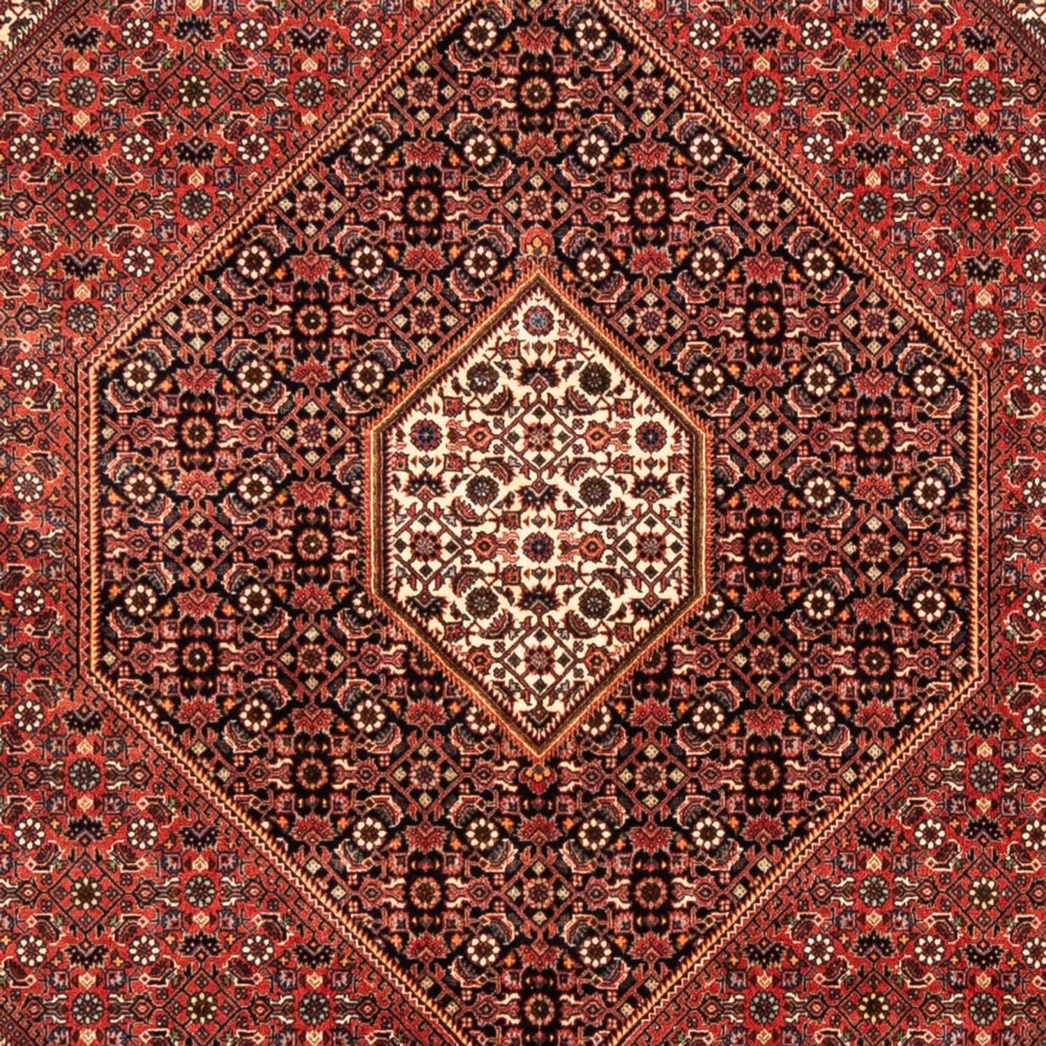 Alfombra persa - Bidjar - 235 x 170 cm - rojo