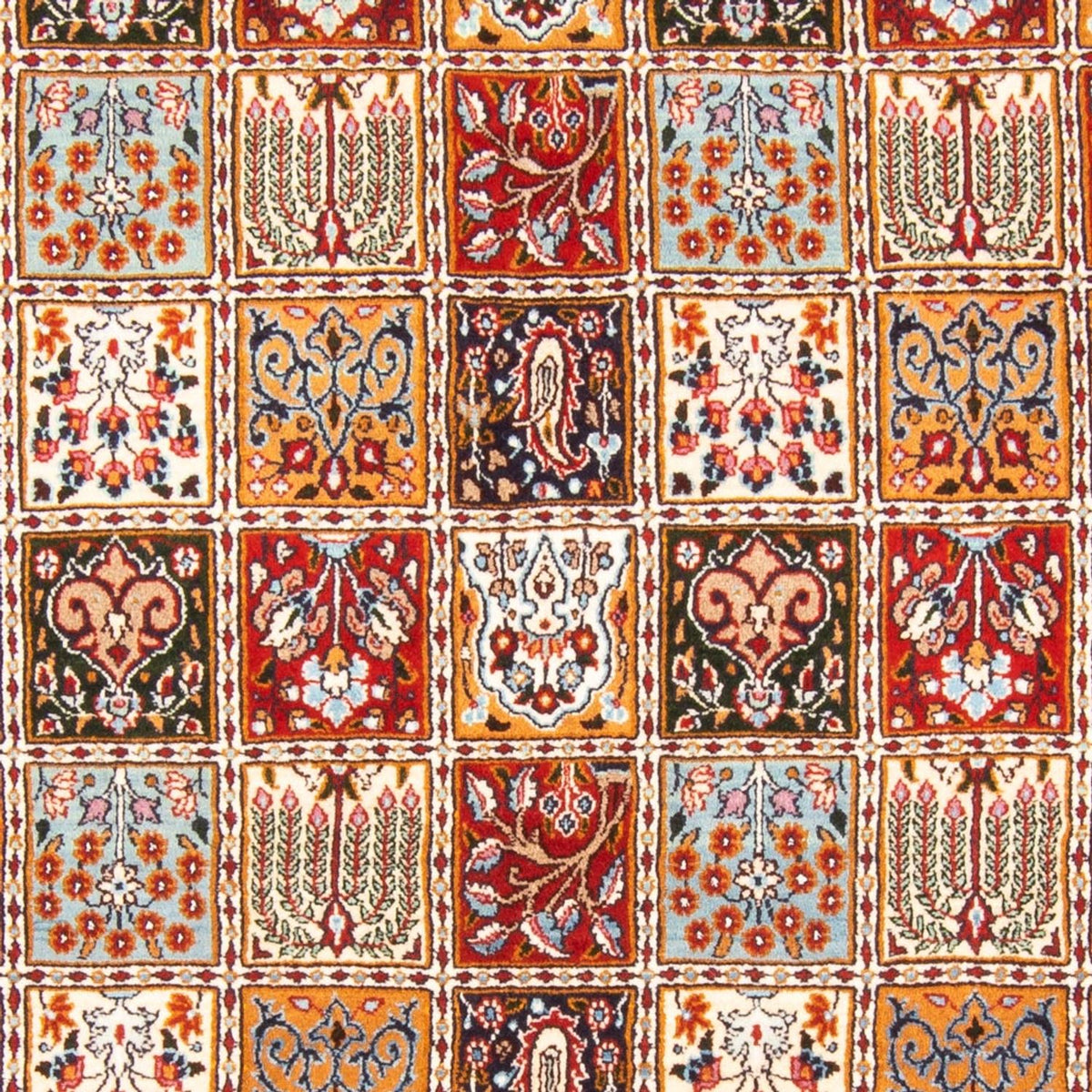 Alfombra persa - Clásica - 228 x 167 cm - multicolor