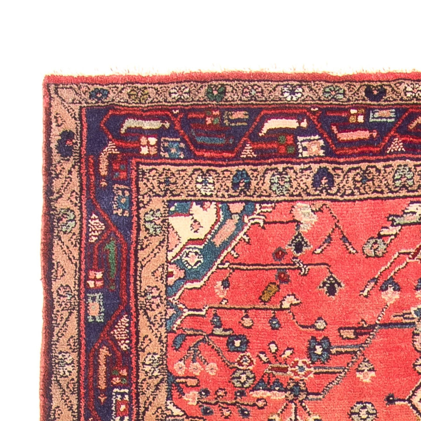 Kolyai Alfombra 311x126cm - Alfombra persa
