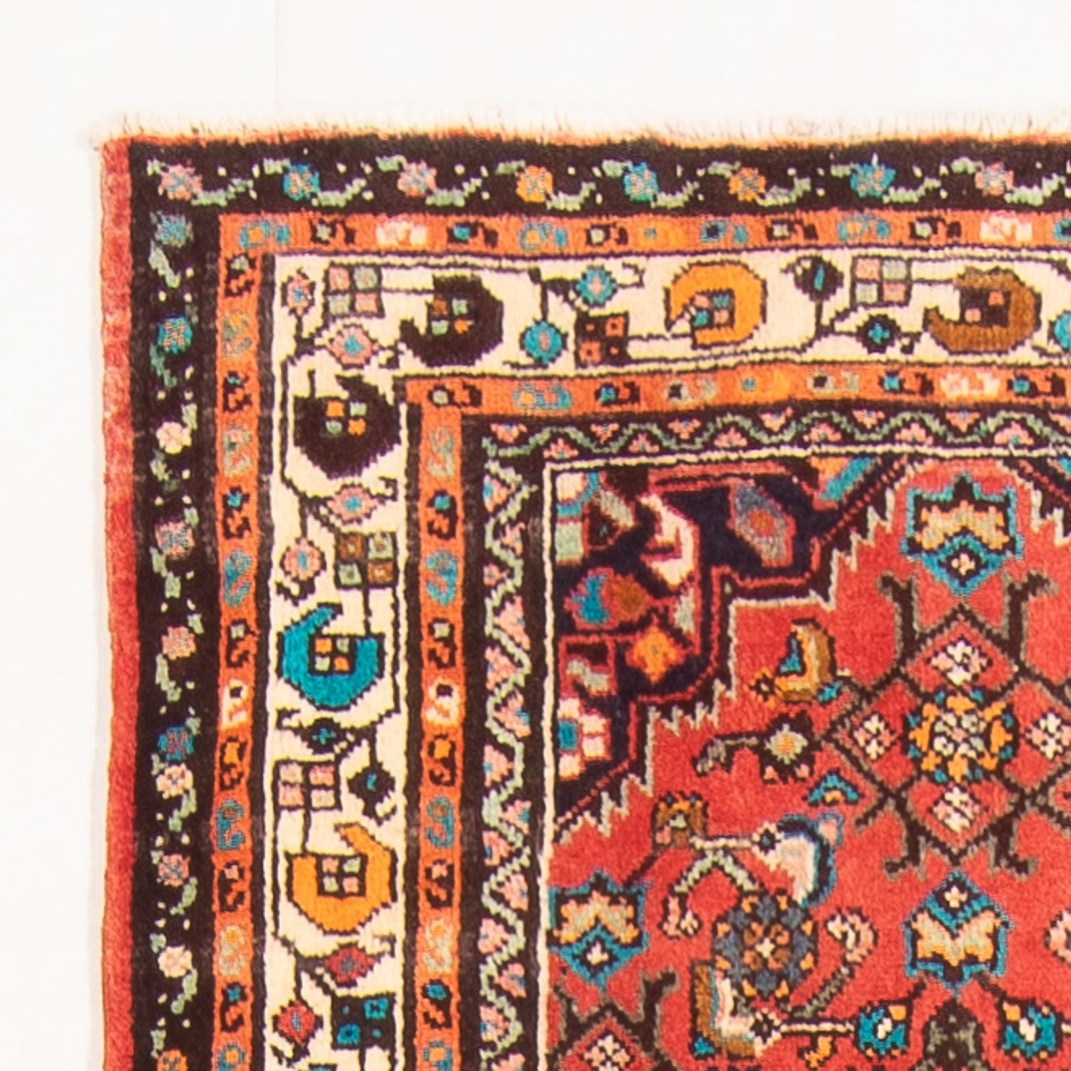 Alfombra de pasillo Alfombra persa - Nómada - 287 x 104 cm - rojo