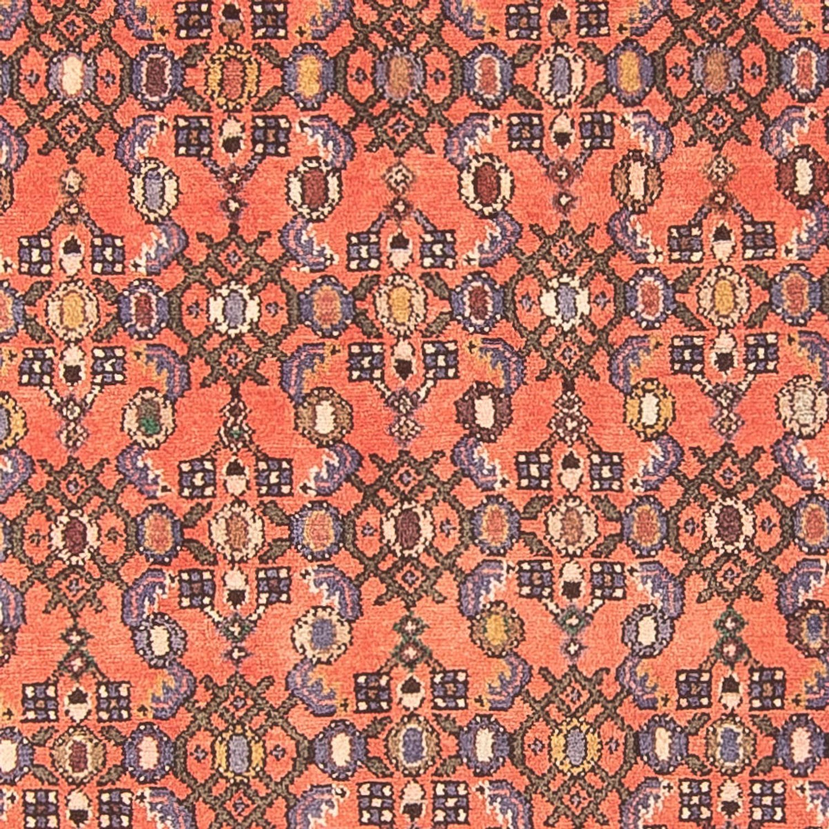 Alfombra de pasillo Alfombra persa - Nómada - 270 x 125 cm - rojo