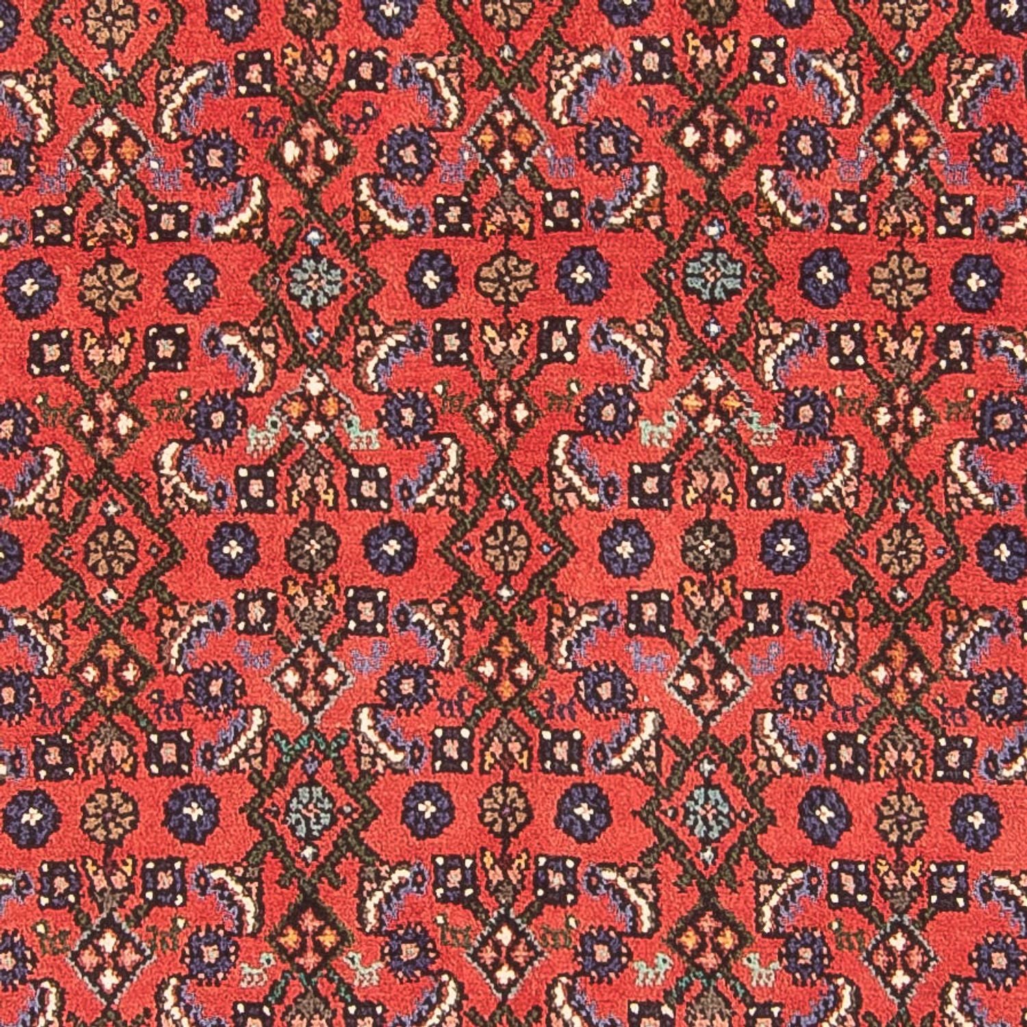 Alfombra de pasillo Alfombra persa - Nómada - 293 x 111 cm - rojo