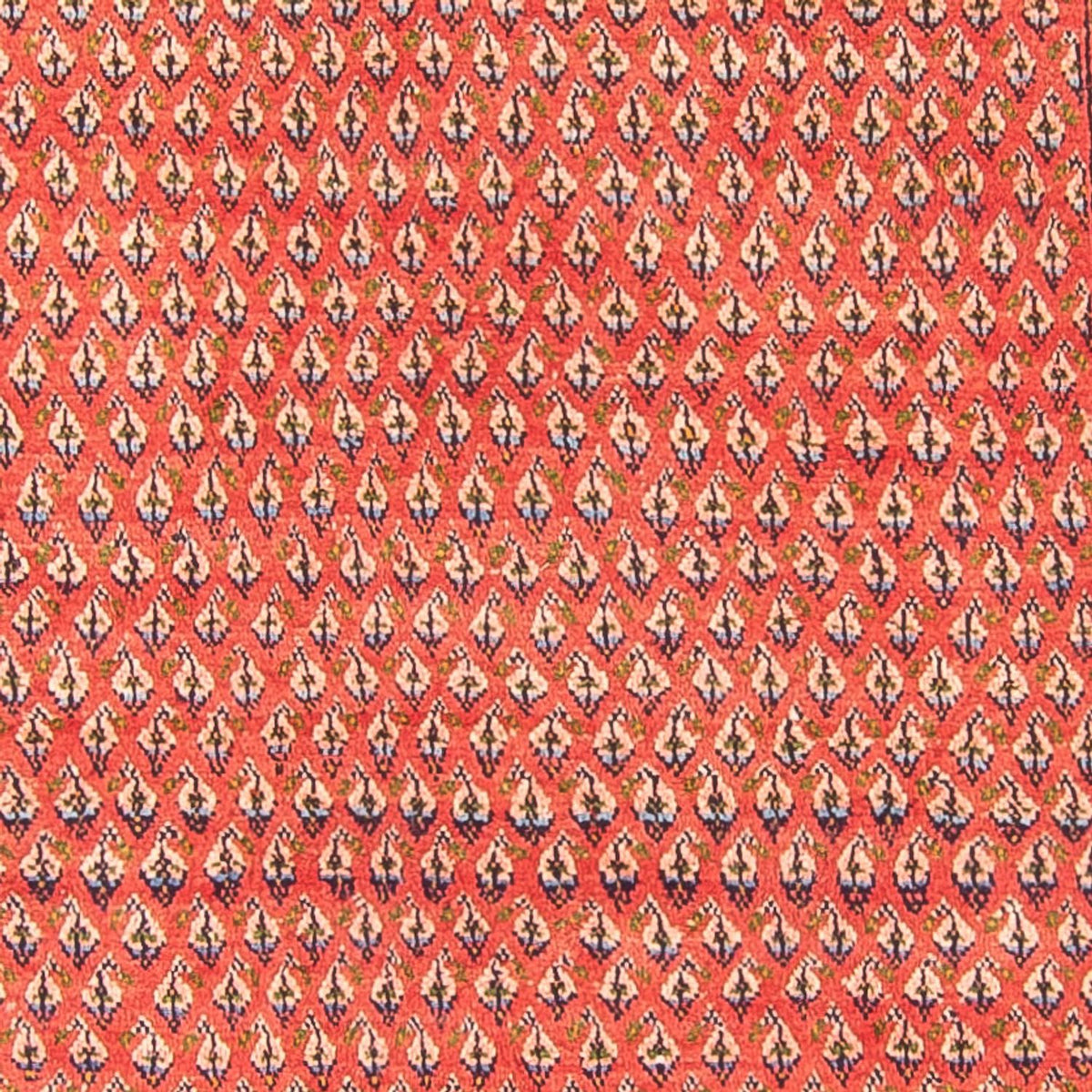 Alfombra de pasillo Alfombra persa - Mir - 295 x 117 cm - rojo