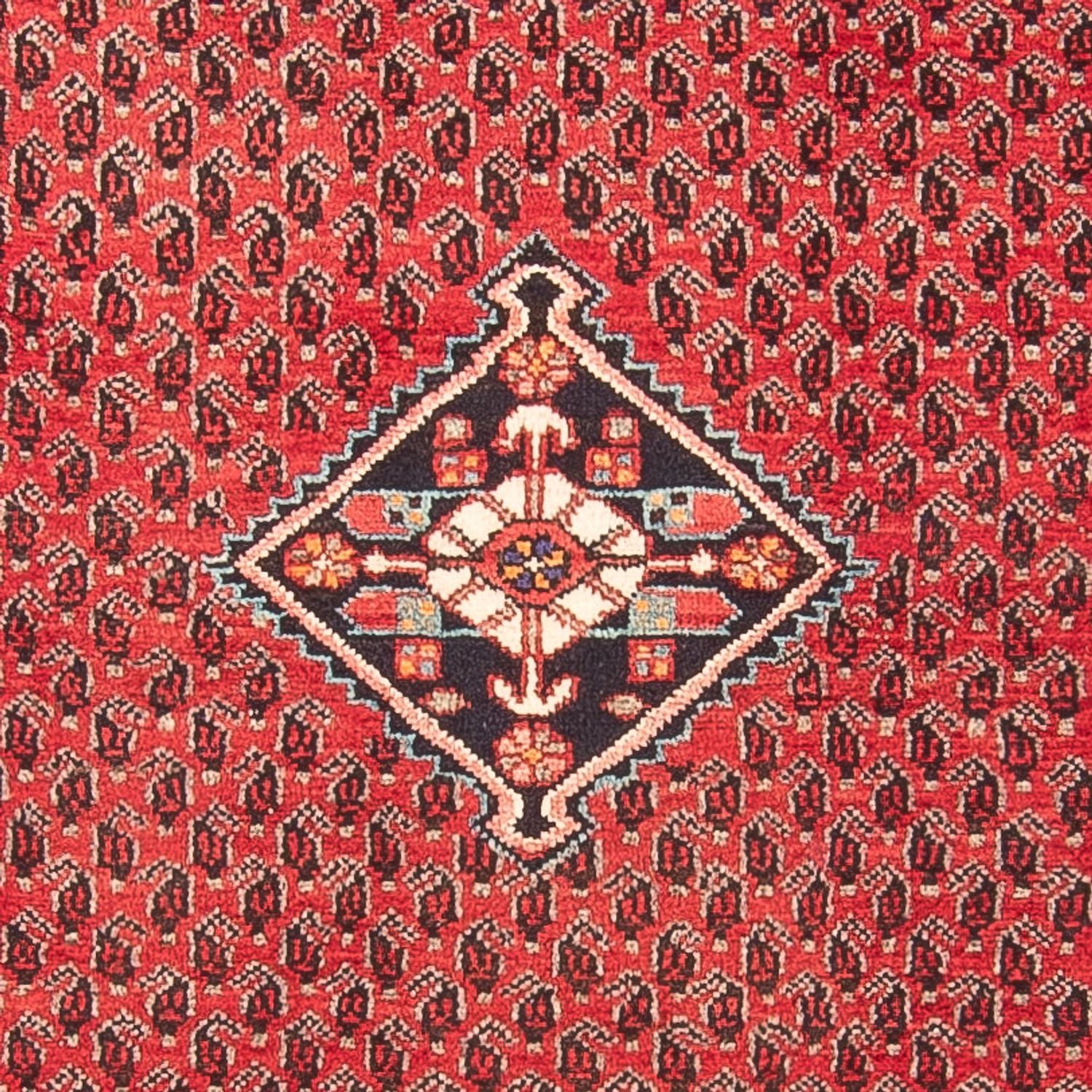 Alfombra de pasillo Alfombra persa - Nómada - 314 x 111 cm - rojo