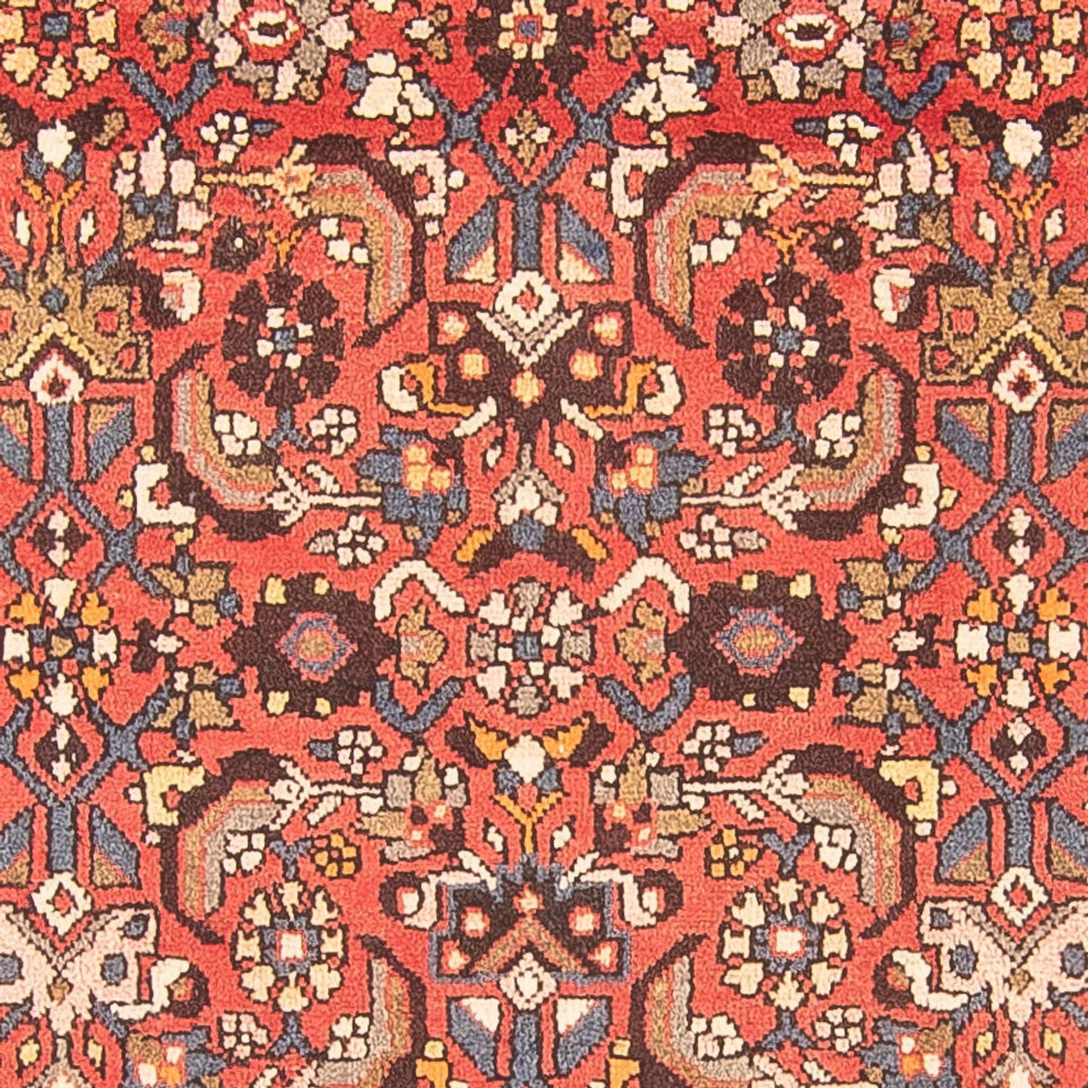 Alfombra de pasillo Alfombra persa - Nómada - 322 x 115 cm - rojo