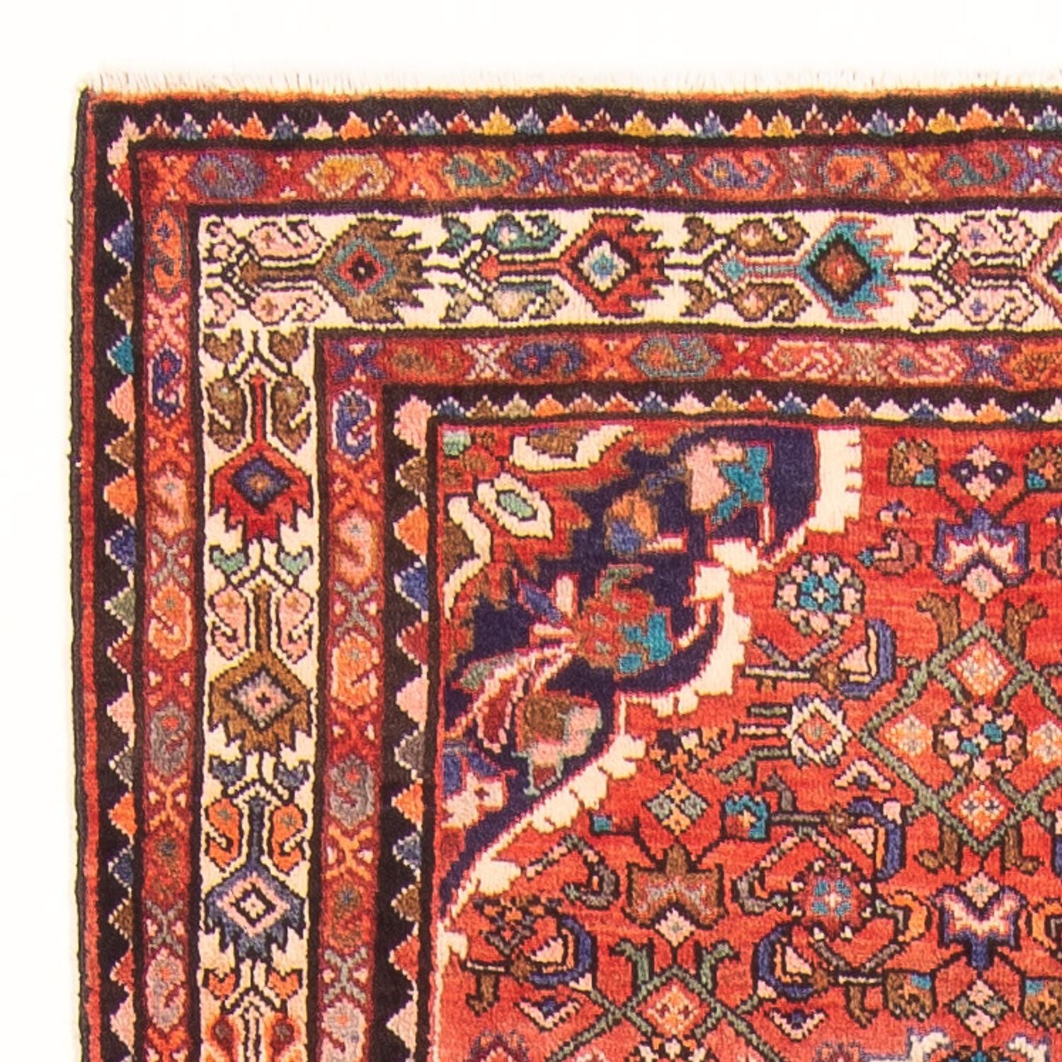 Alfombra de pasillo Alfombra persa - Nómada - 332 x 118 cm - rojo