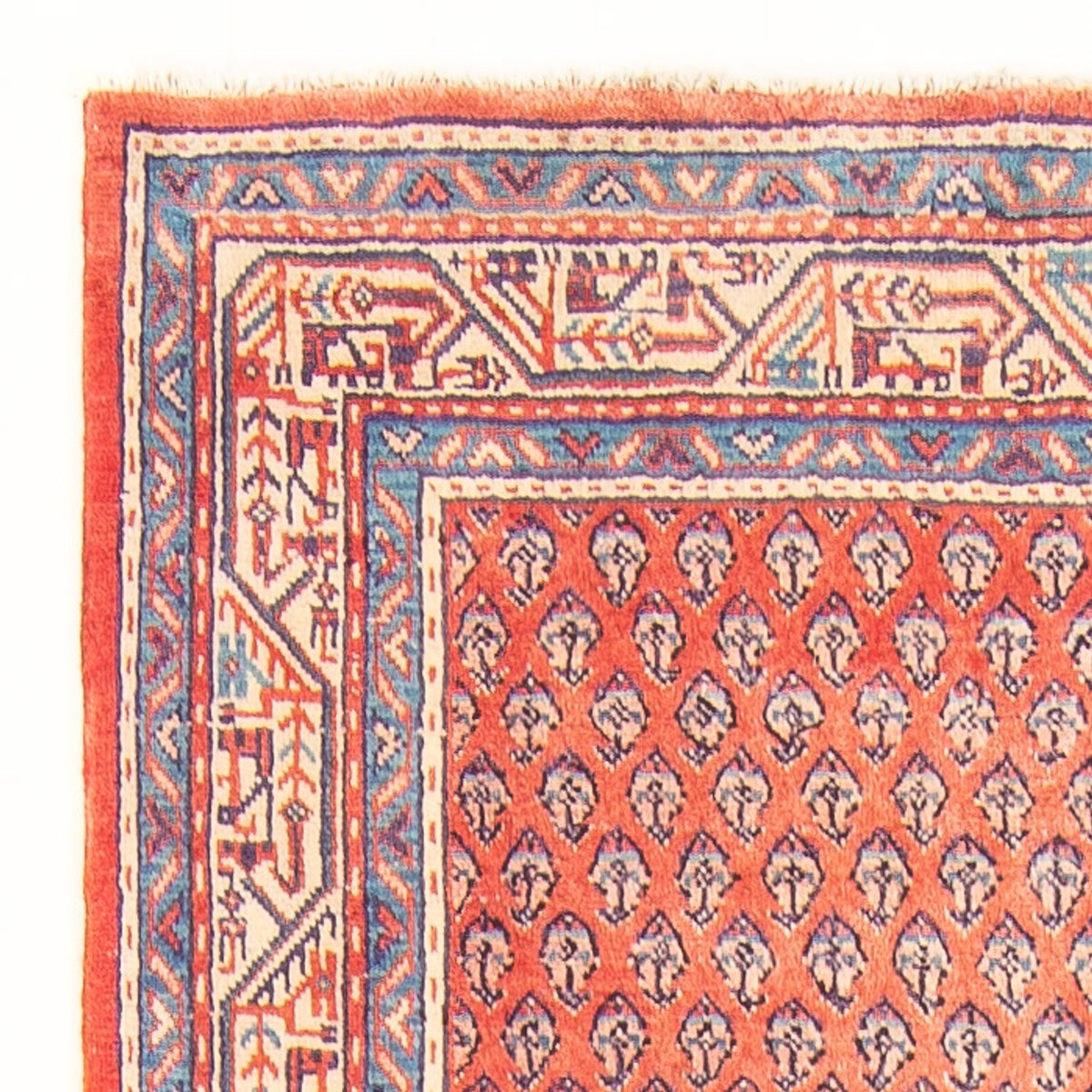 Mir Alfombra 107x316cm - Alfombra persa
