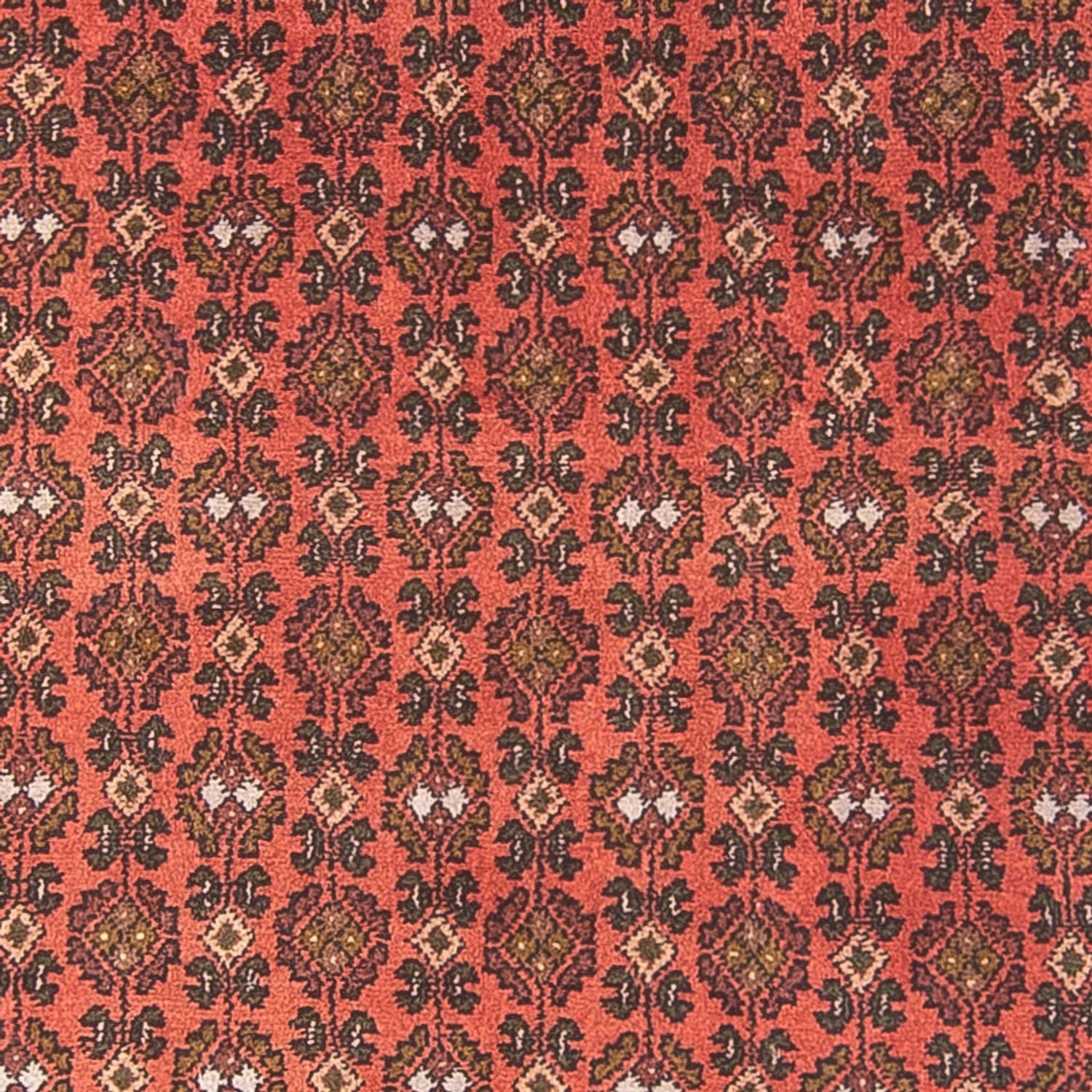 Alfombra de pasillo Alfombra persa - Nómada - 294 x 101 cm - rojo