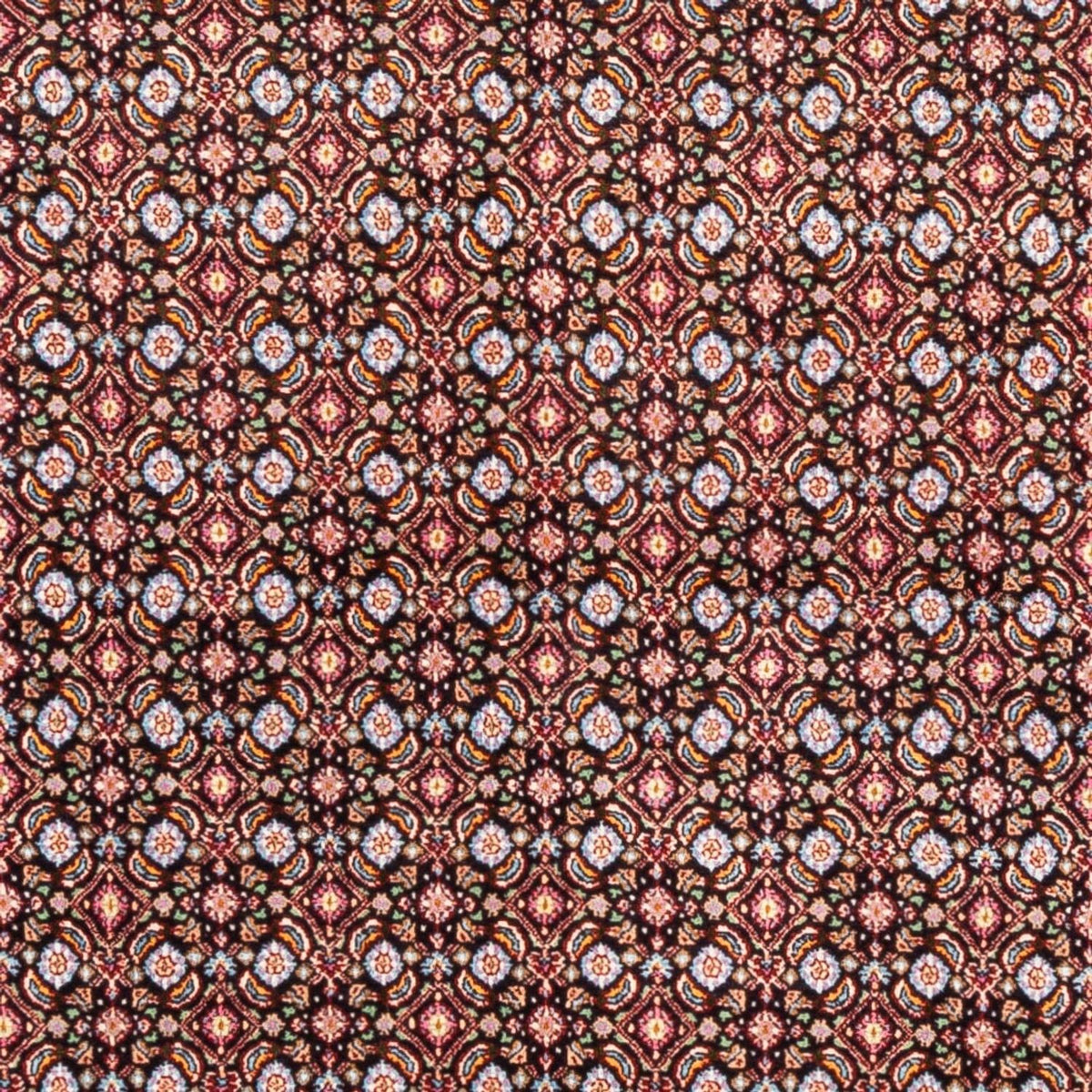 Alfombra persa - Clásica cuadrado  - 195 x 193 cm - azul oscuro