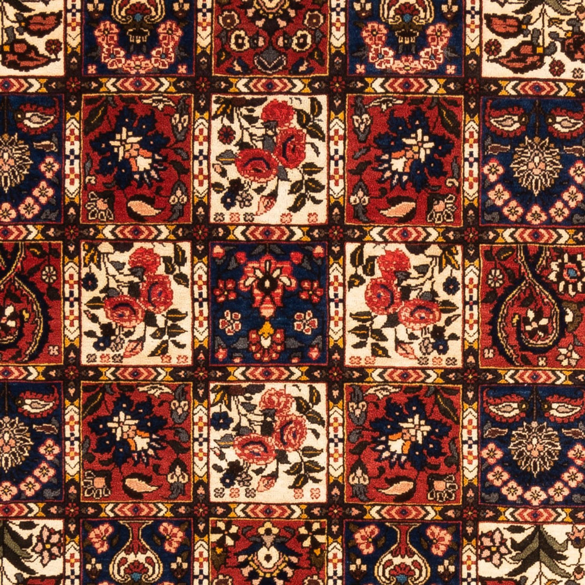 Alfombra persa - Nómada - 250 x 155 cm - multicolor