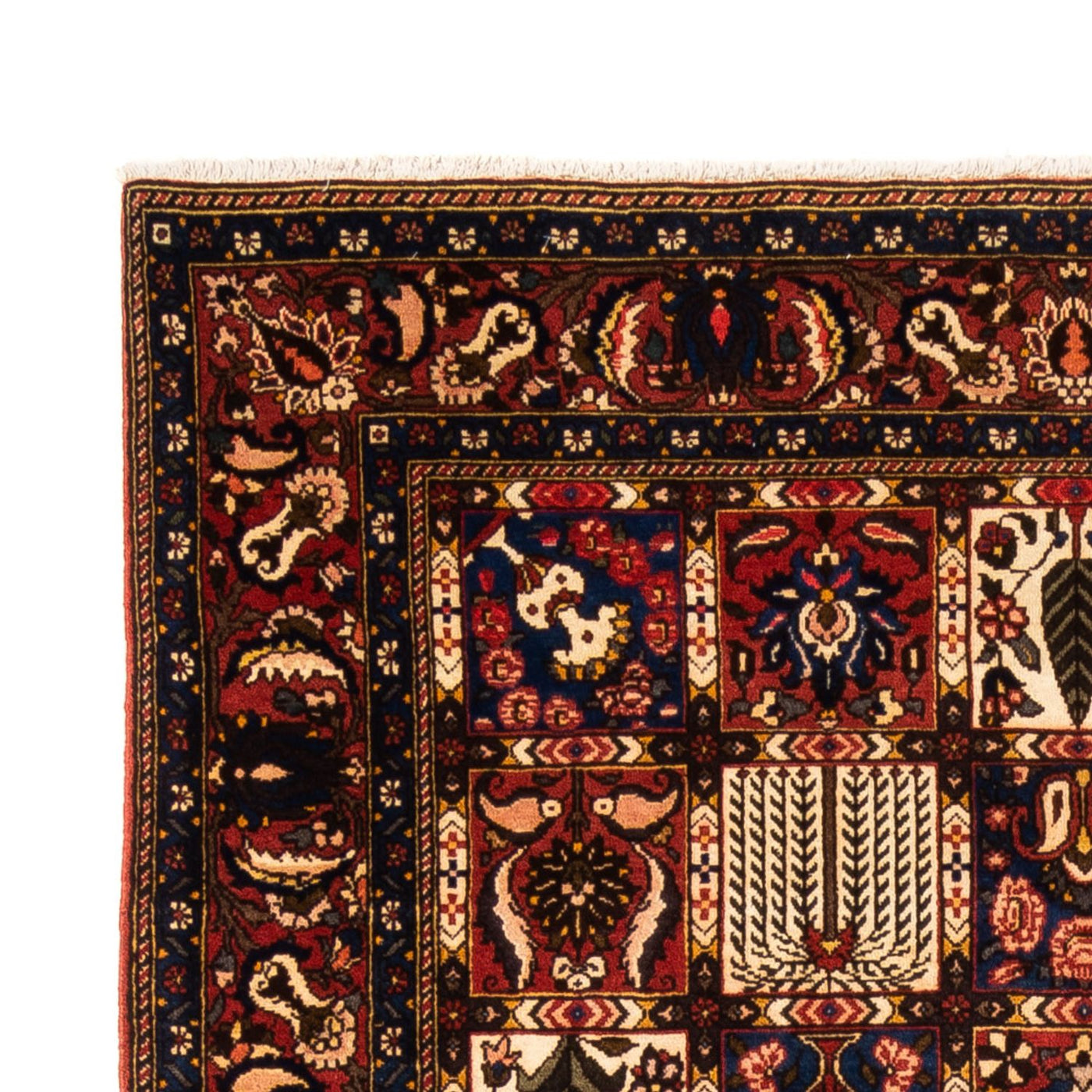 Bakhtiari Alfombra 250x155cm - Alfombra persa