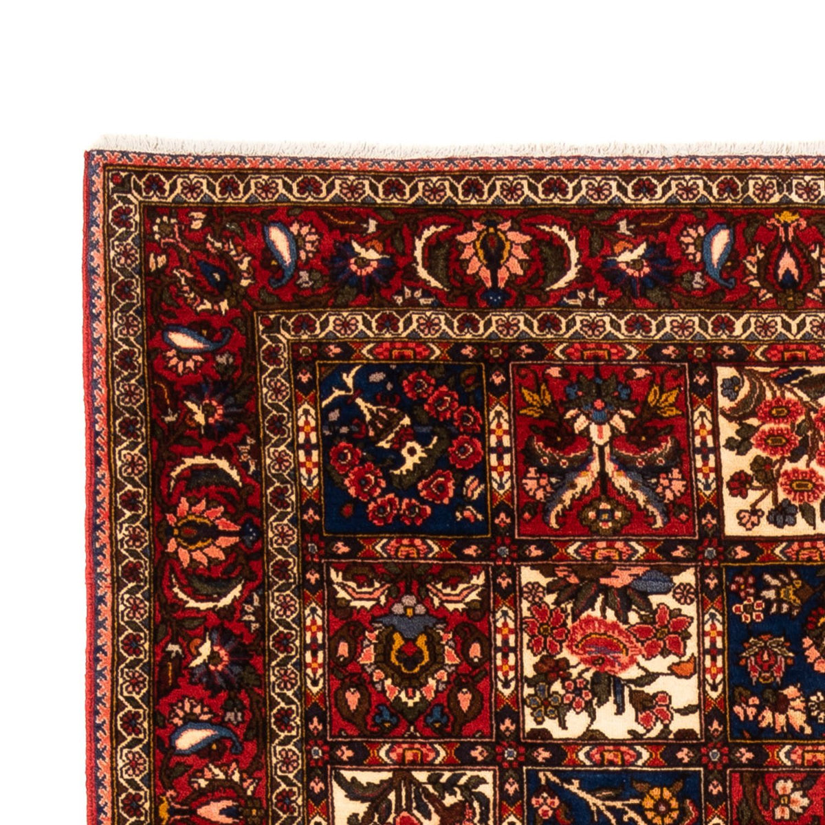 Bakhtiari Alfombra 157x260cm - Alfombra persa